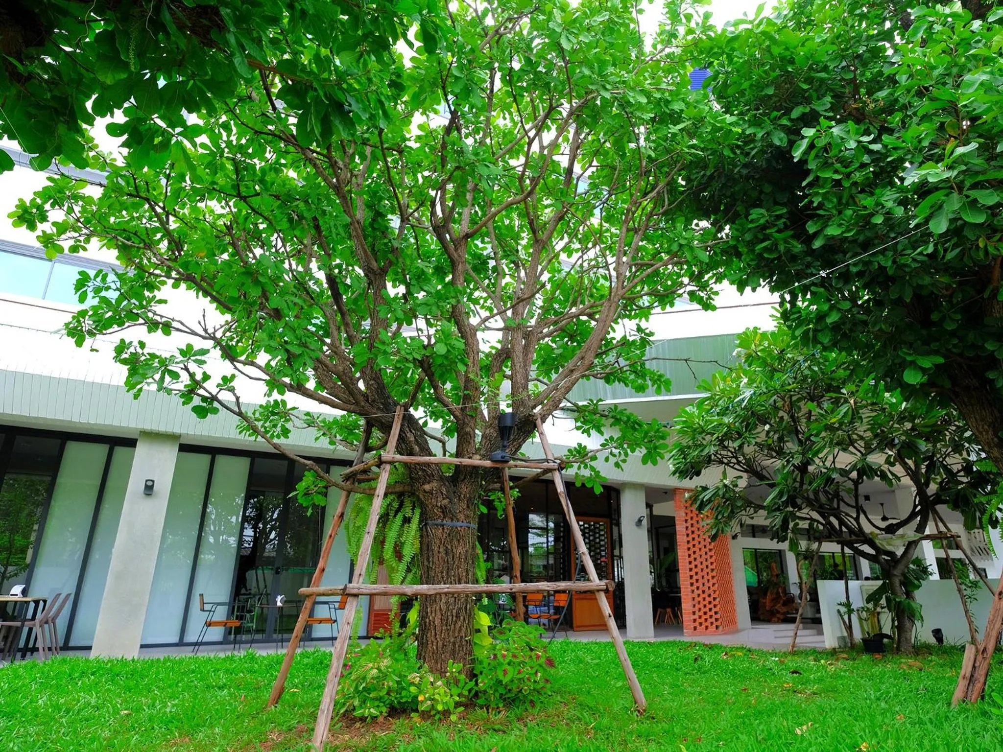 Garden in The Rich Hotel