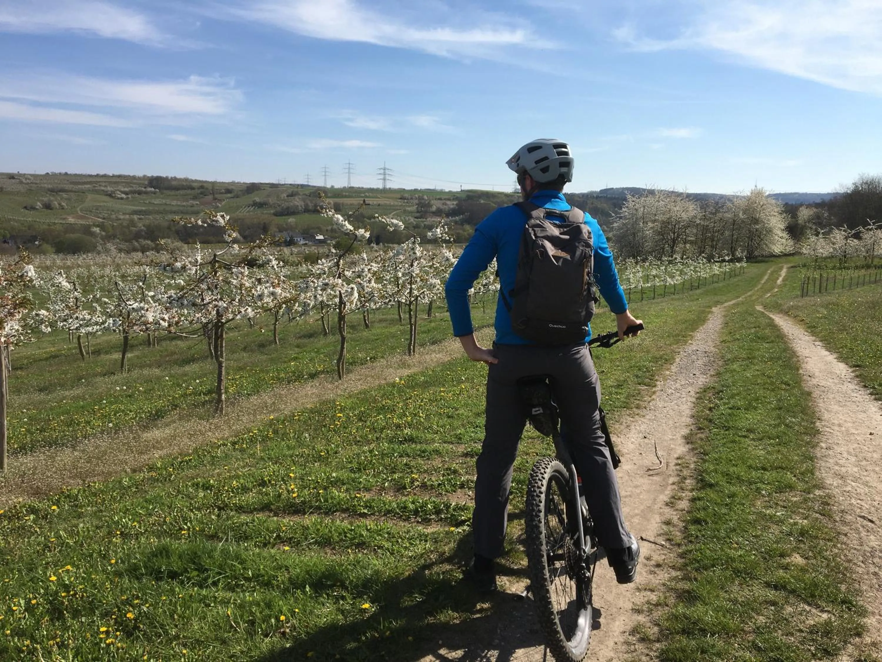 Cycling in Bengel's Hotel zur Krone