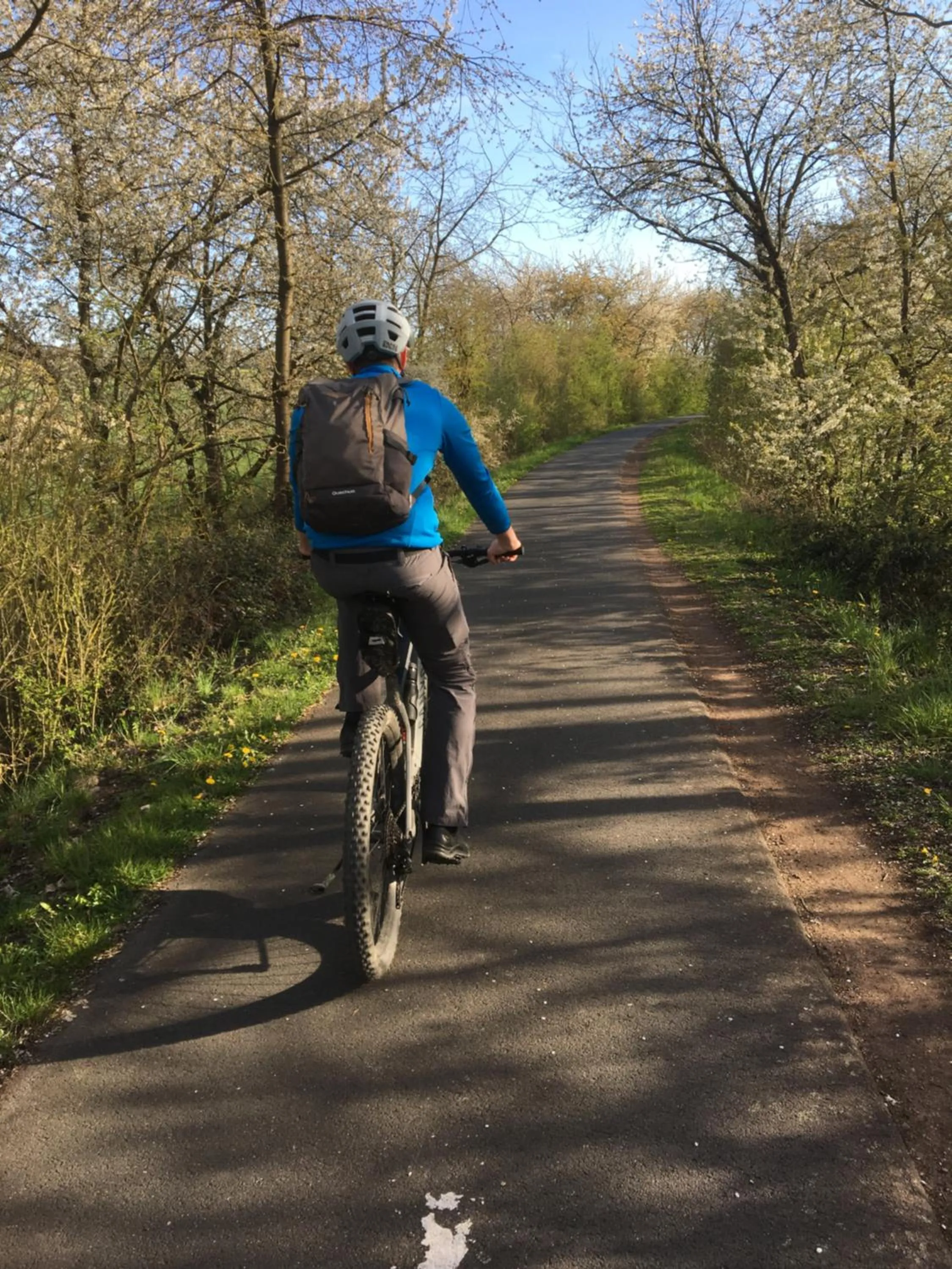 Activities in Bengel's Hotel zur Krone