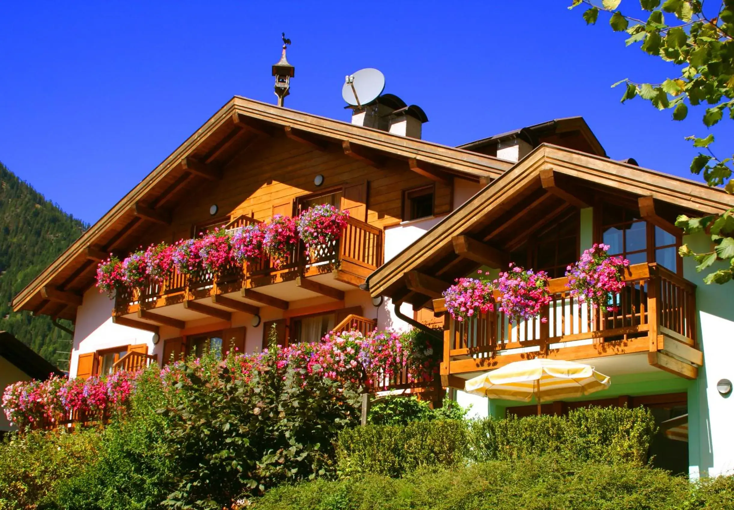 Property building in Residence Lagorai - Fiemme Holidays Property building in Residence Lagorai - Fiemme Holidays