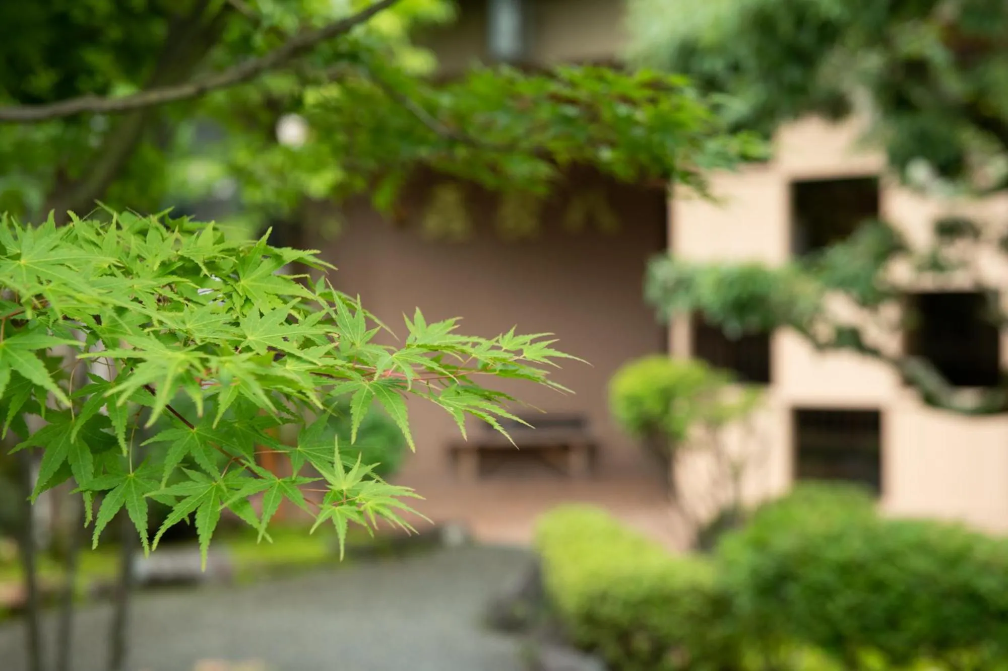 Garden in Awazuonsen Kitahachi