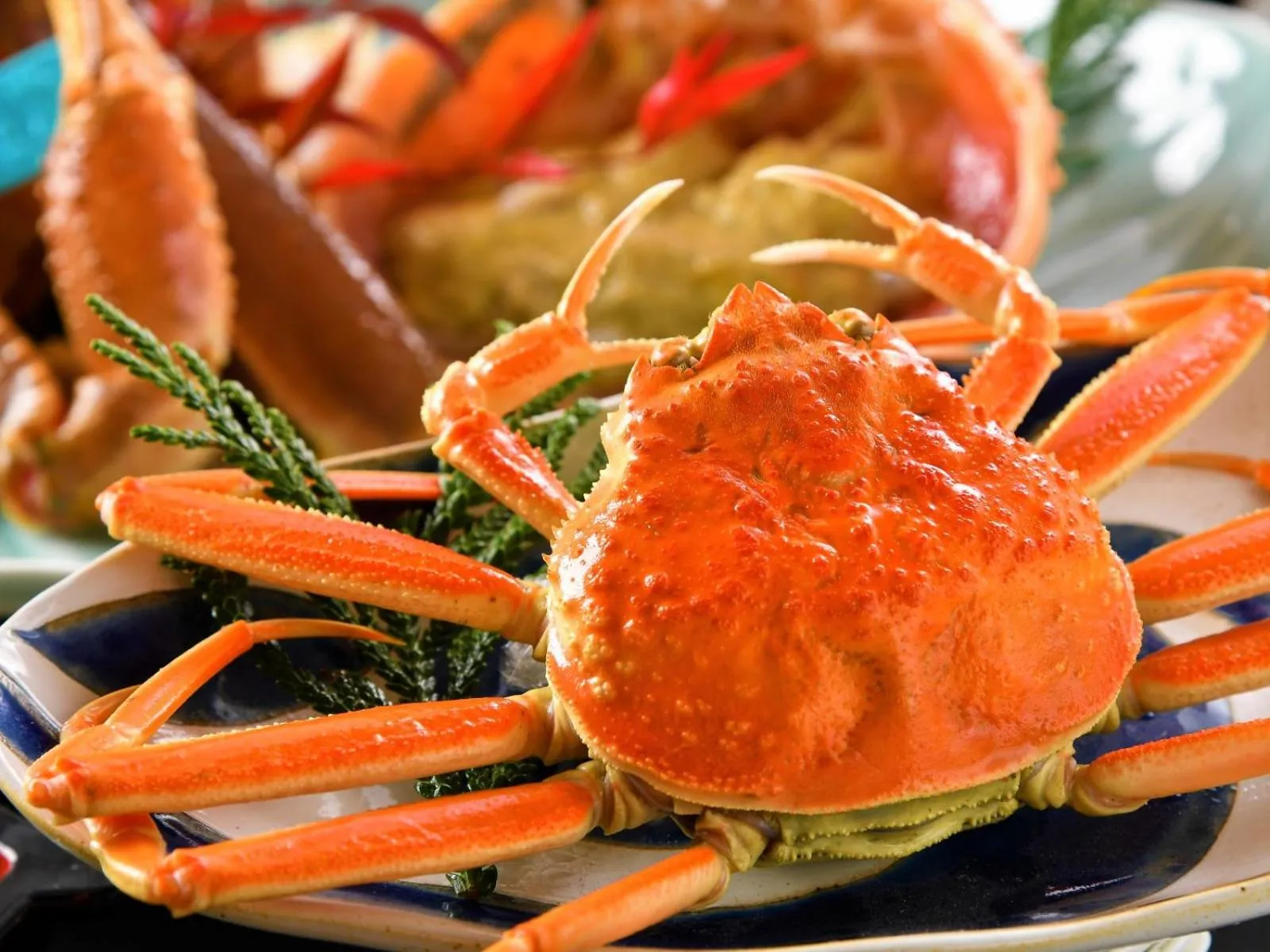 Awazuonsen Kitahachi