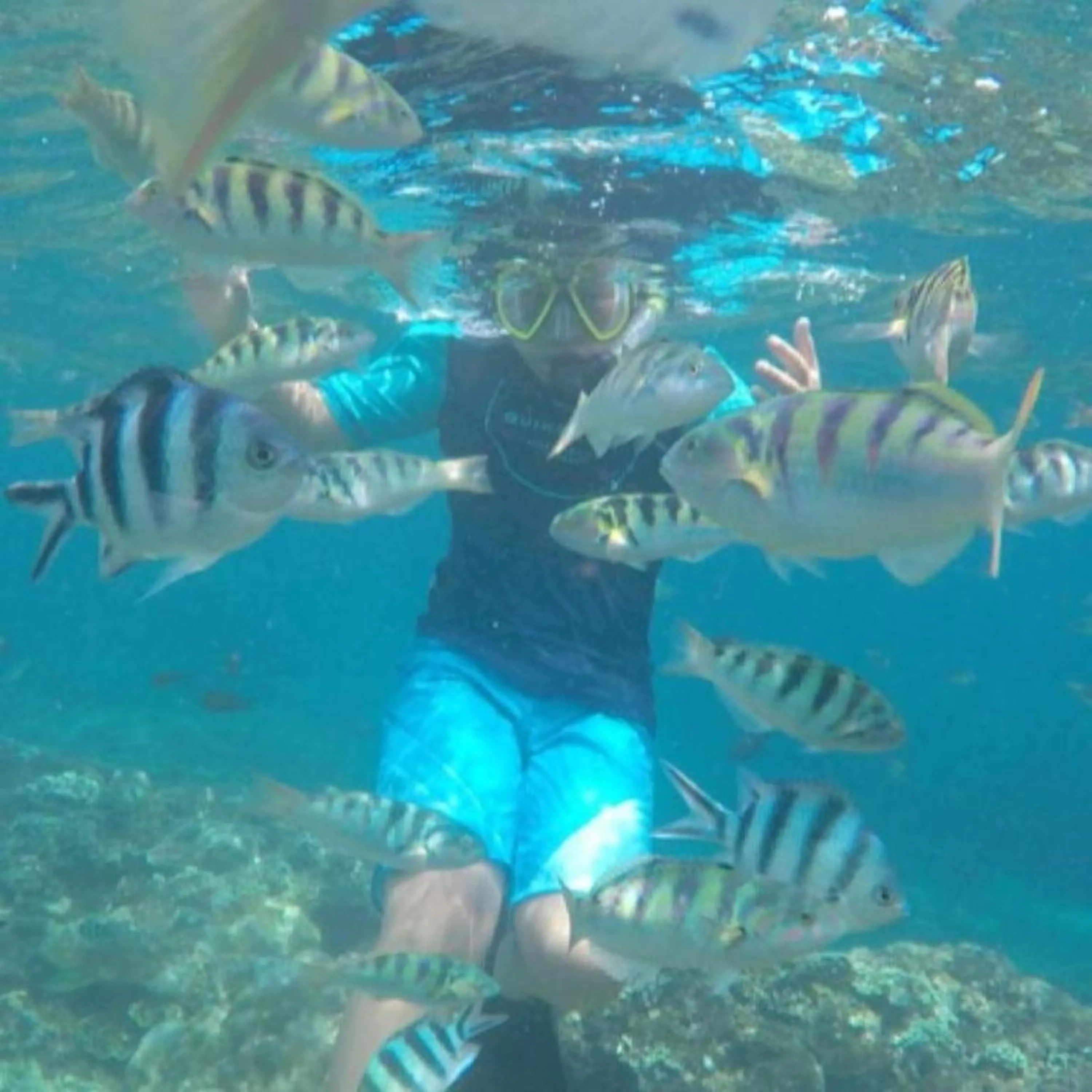 Diving in Green Kubu Asri Villa