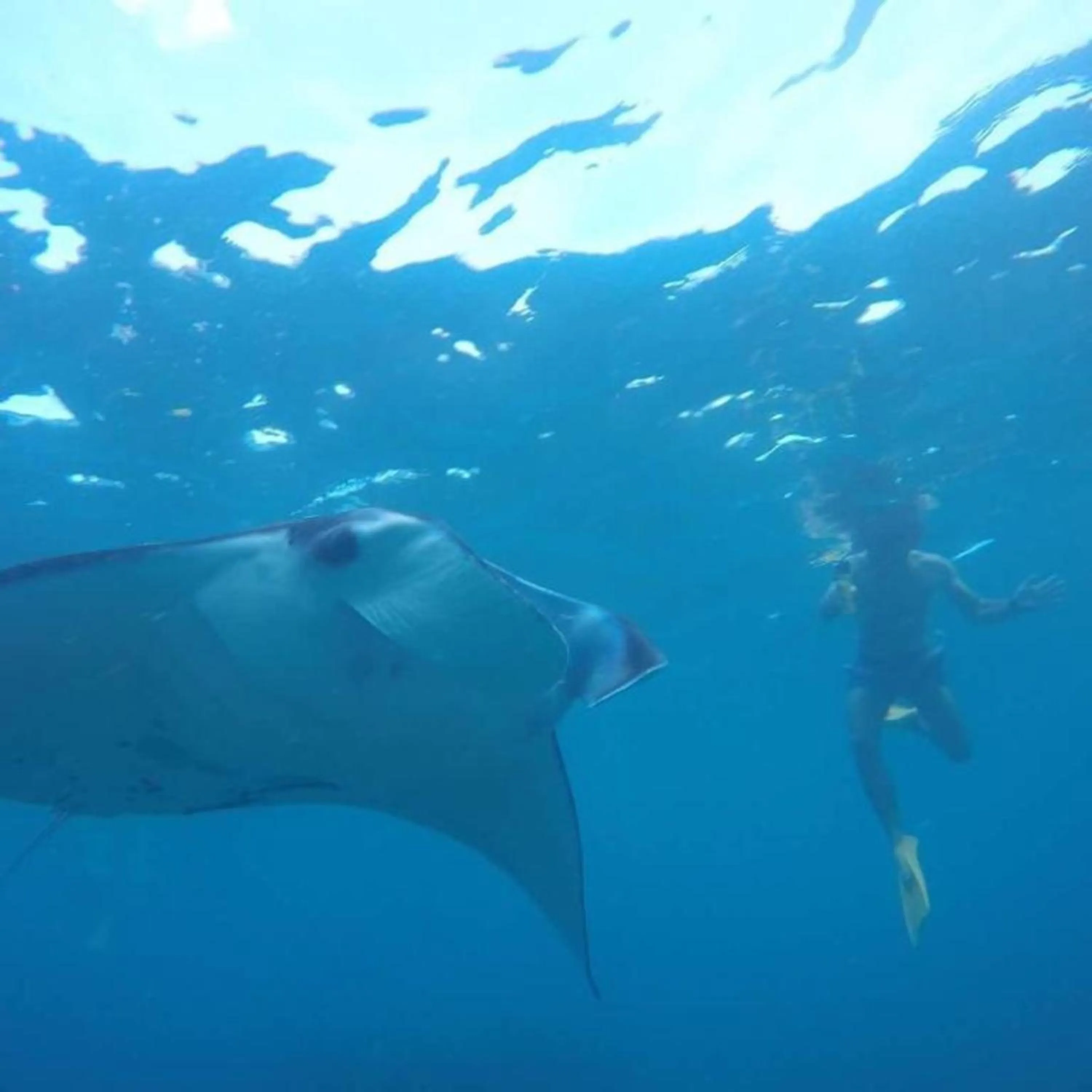 Other in Green Kubu Asri Villa