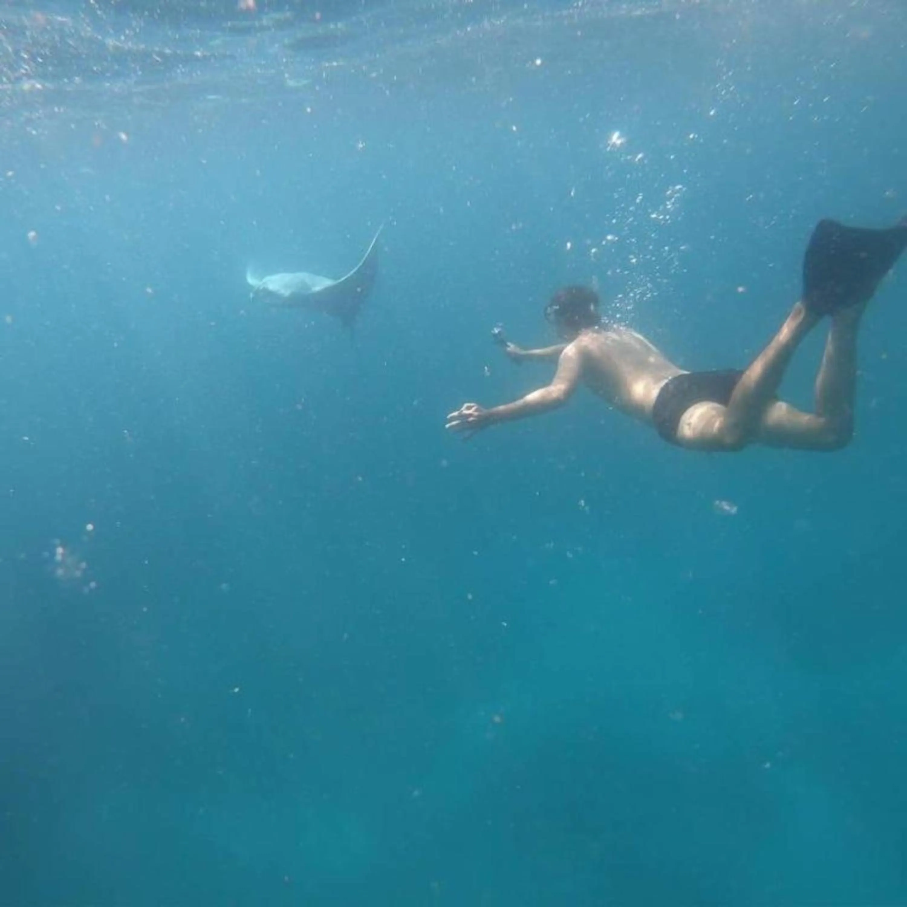 Diving in Green Kubu Asri Villa