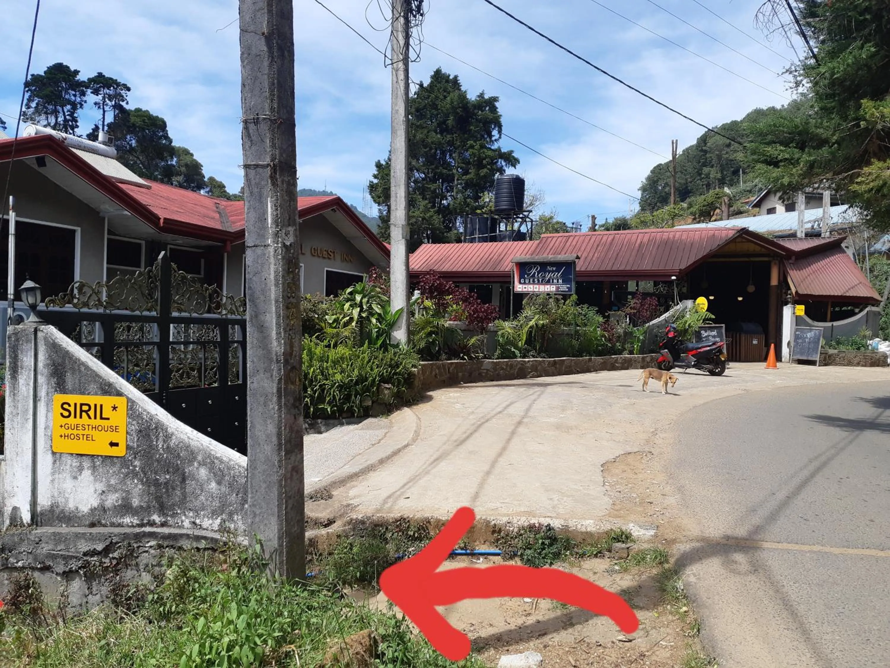 Facade/entrance in Siril Guesthouse Hostel