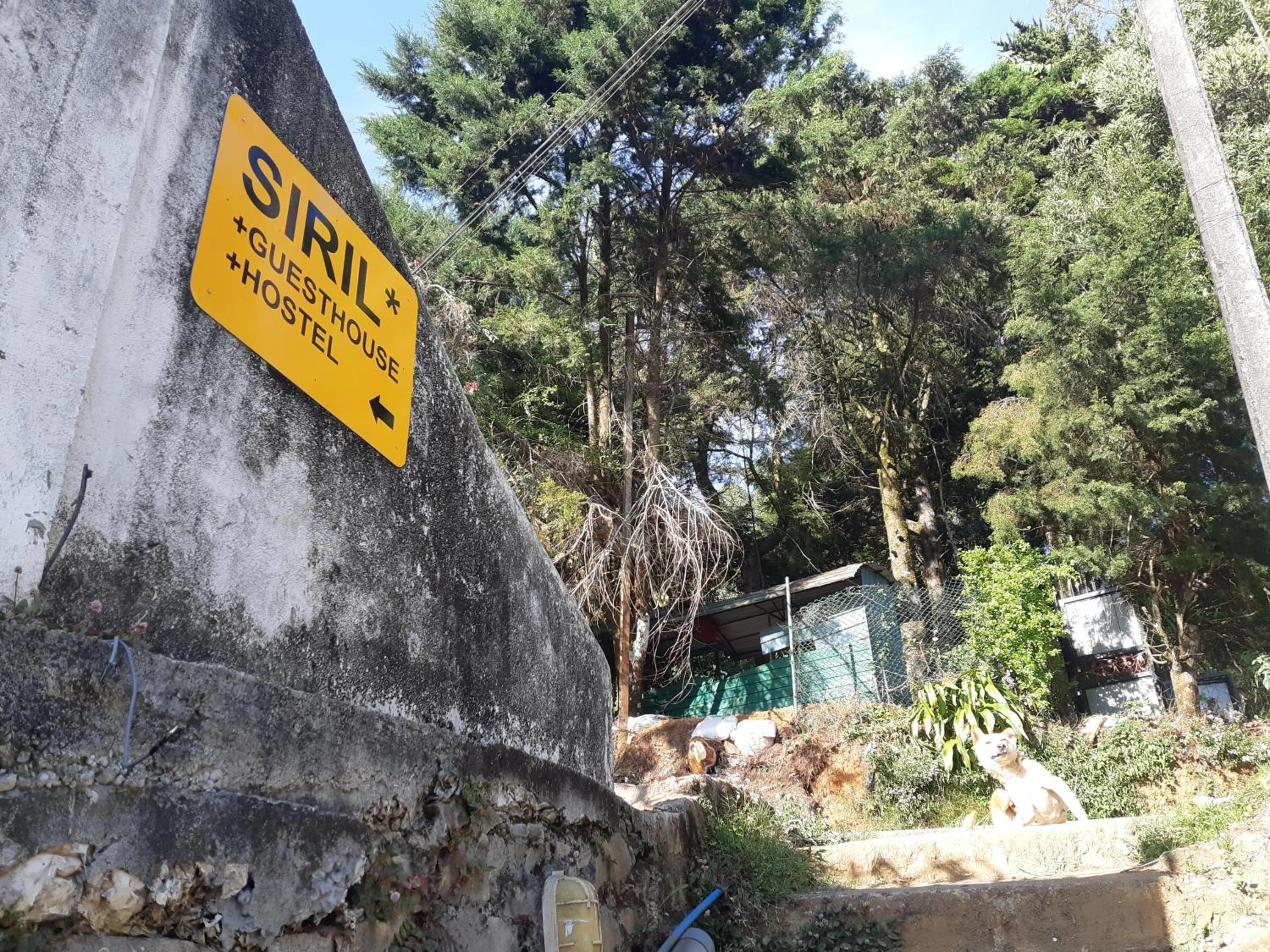 Facade/entrance in Siril Guesthouse Hostel