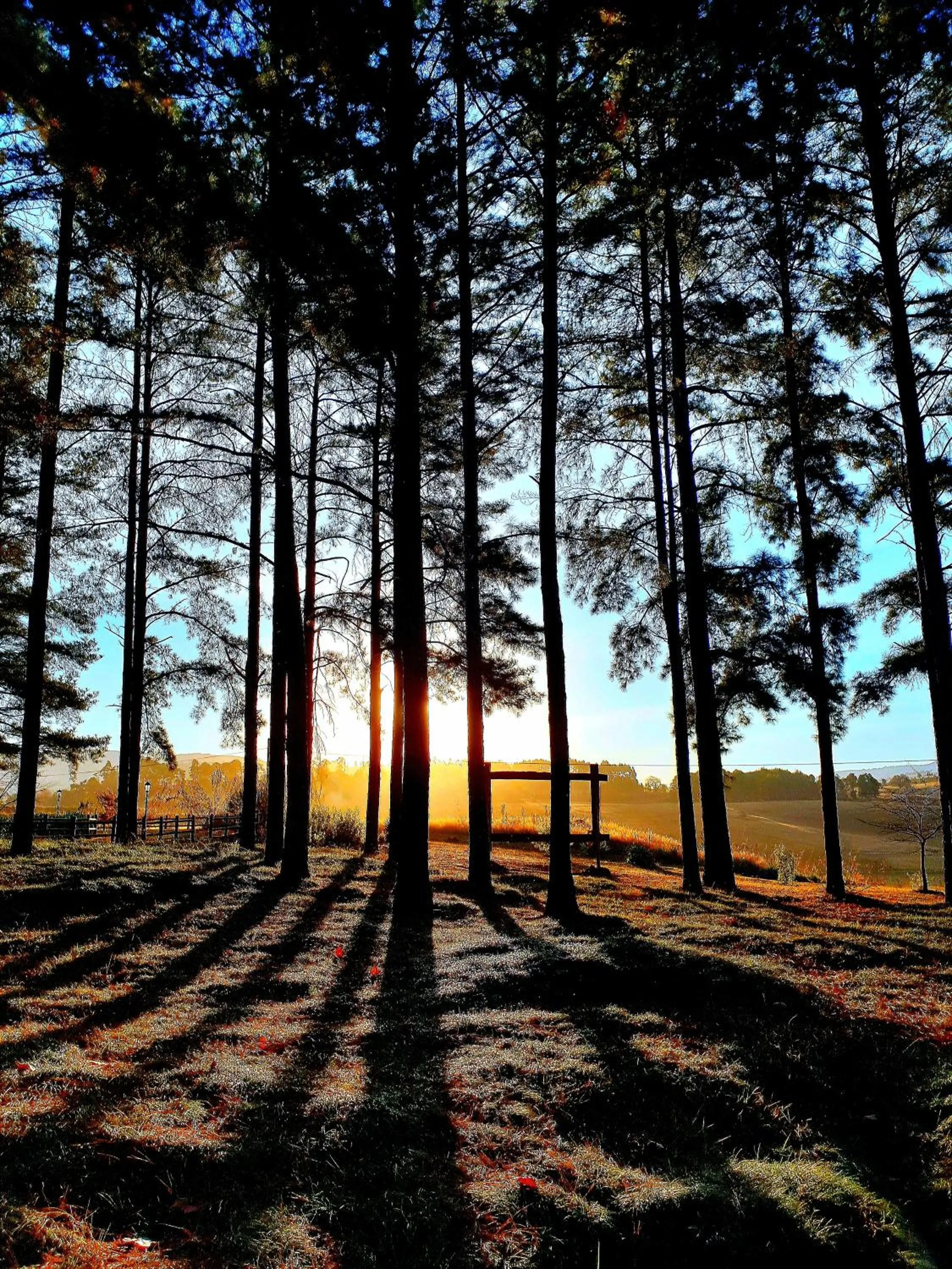 Granny Mouse Country House & Spa