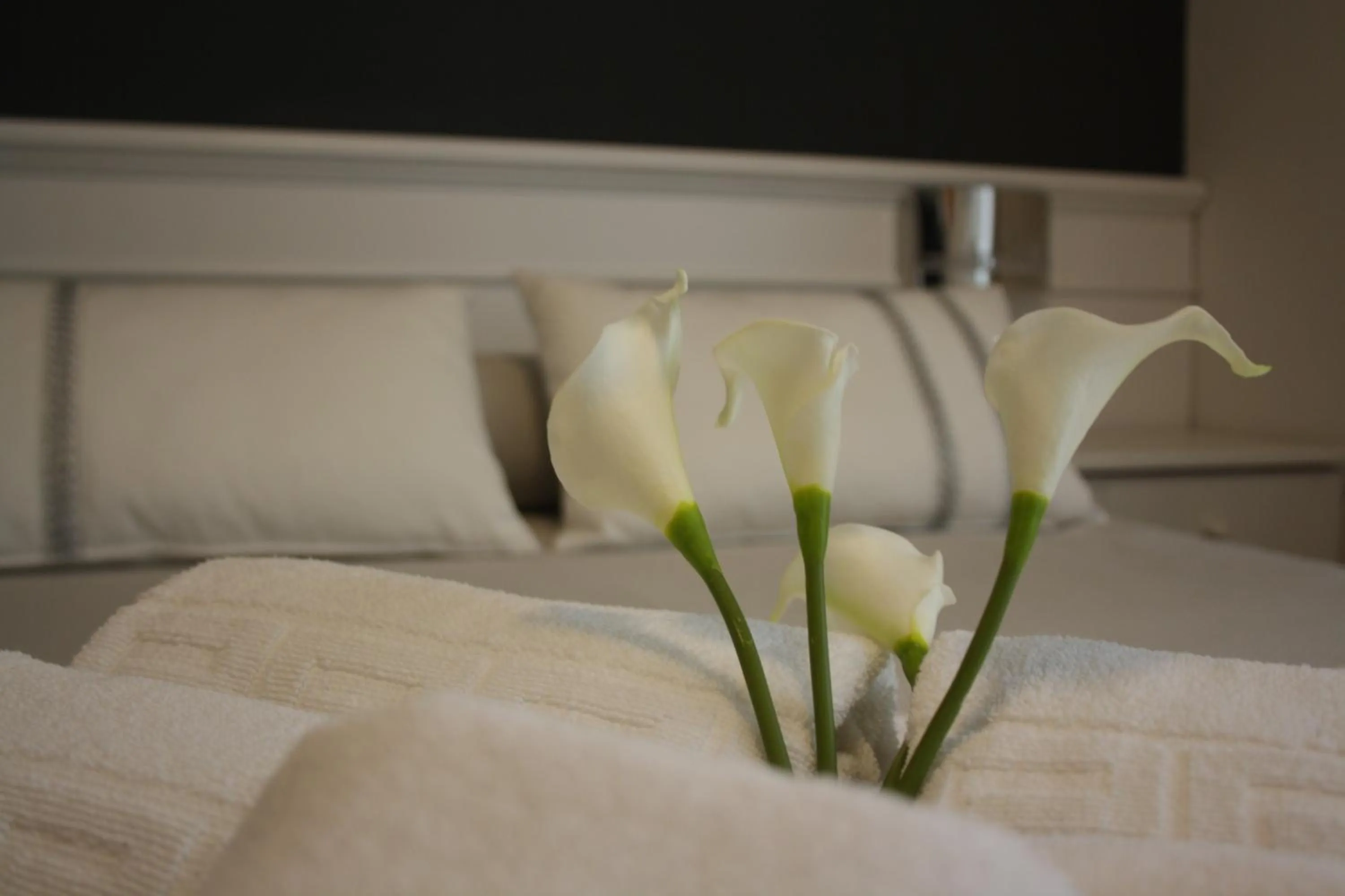 Other, Bed in Hotel Herreros