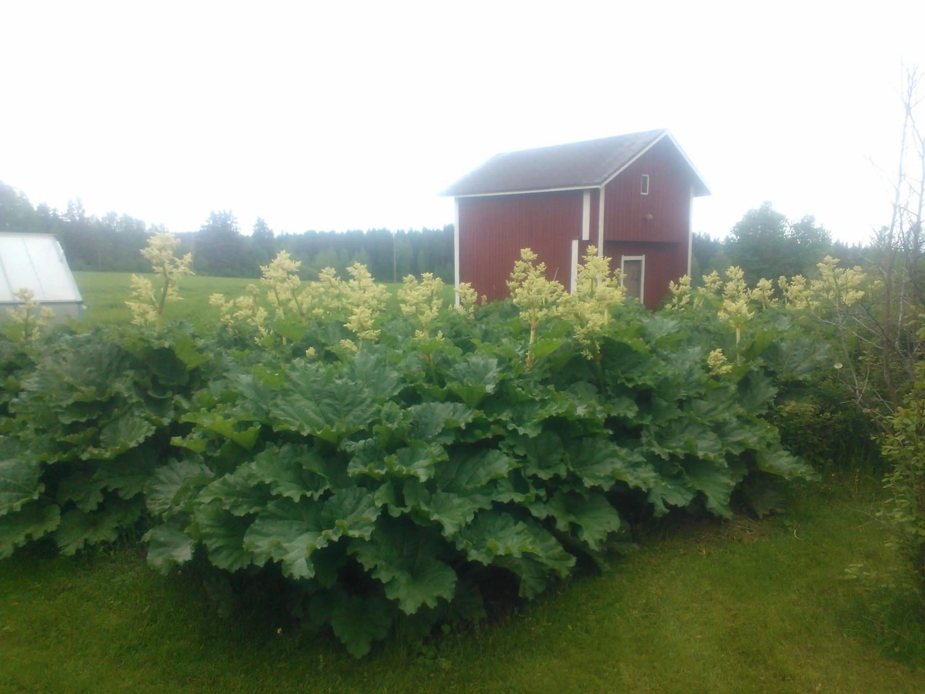 Property building in Hyvölän Talo