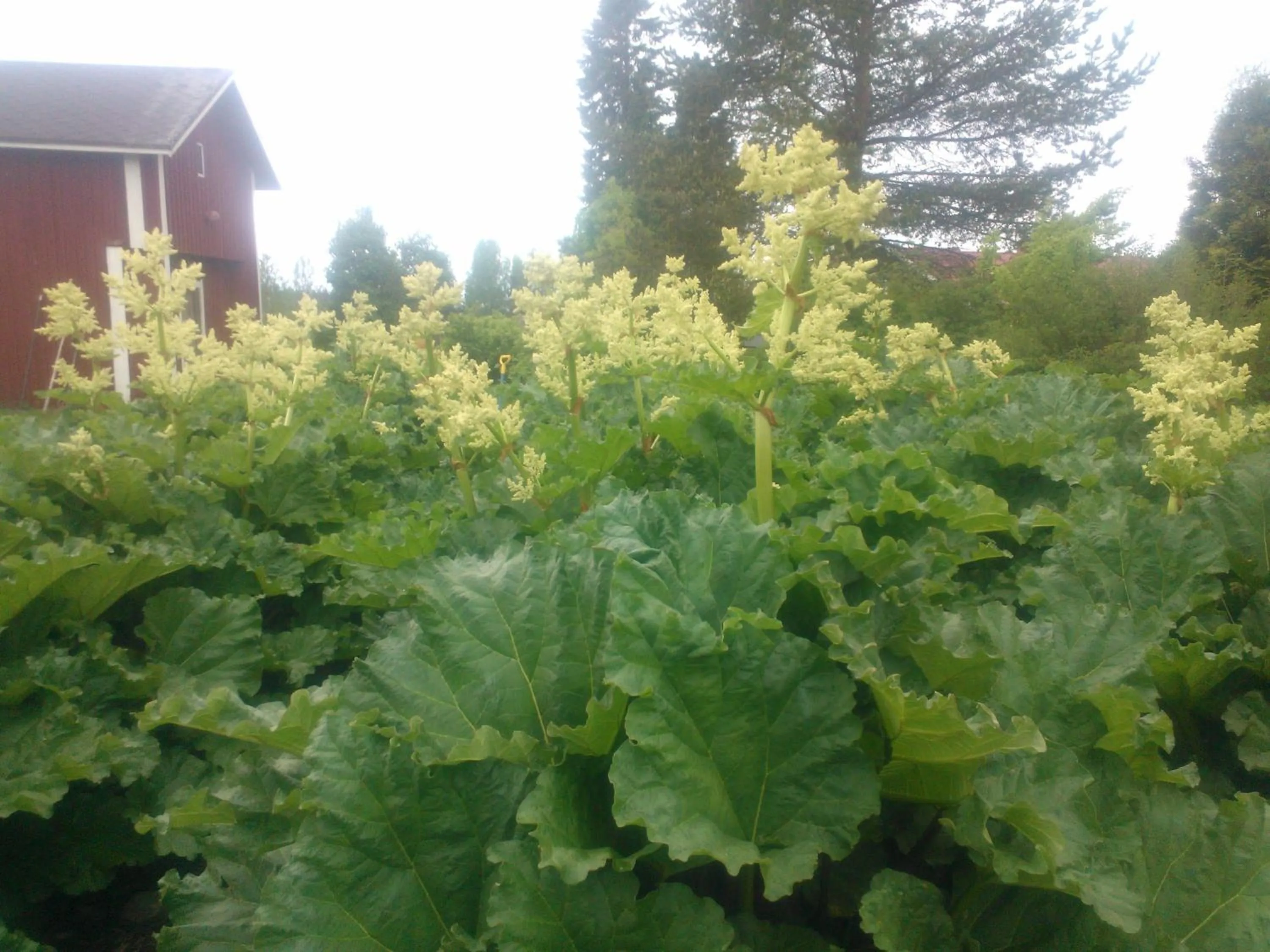 Other in Hyvölän Talo