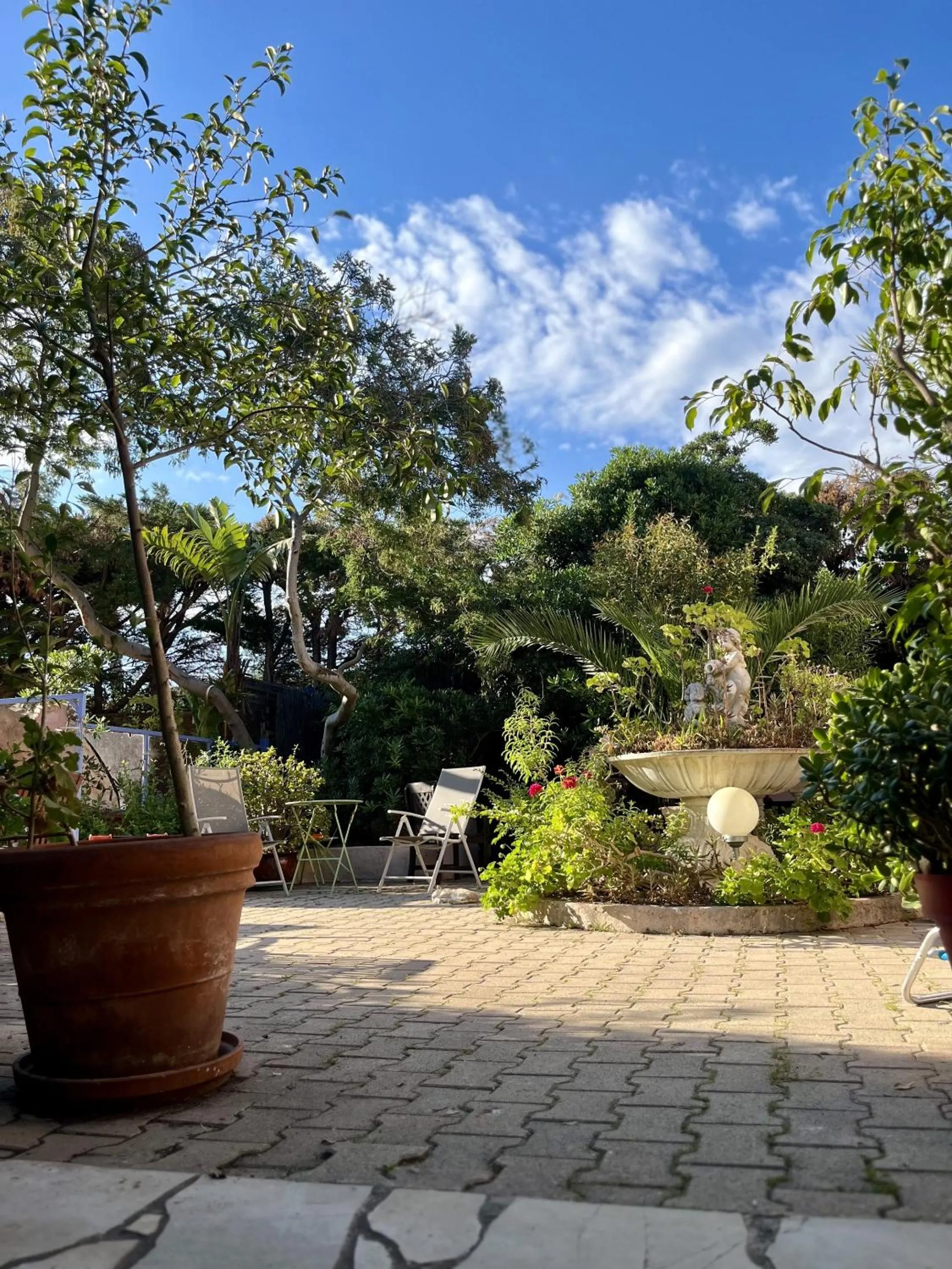 Garden in Hotel Le Patio