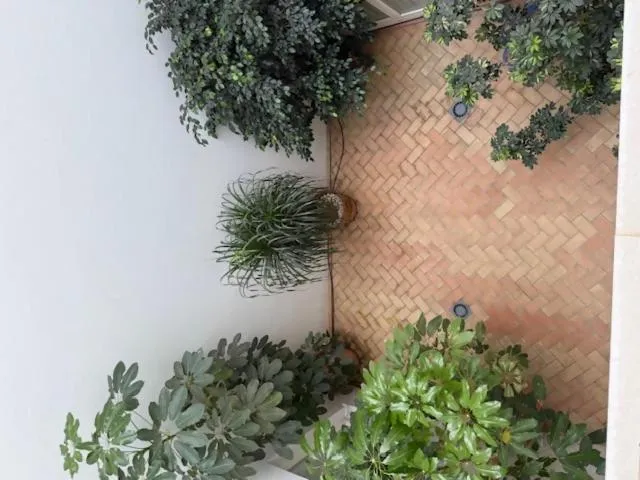 Casa Palacio de Cadiz