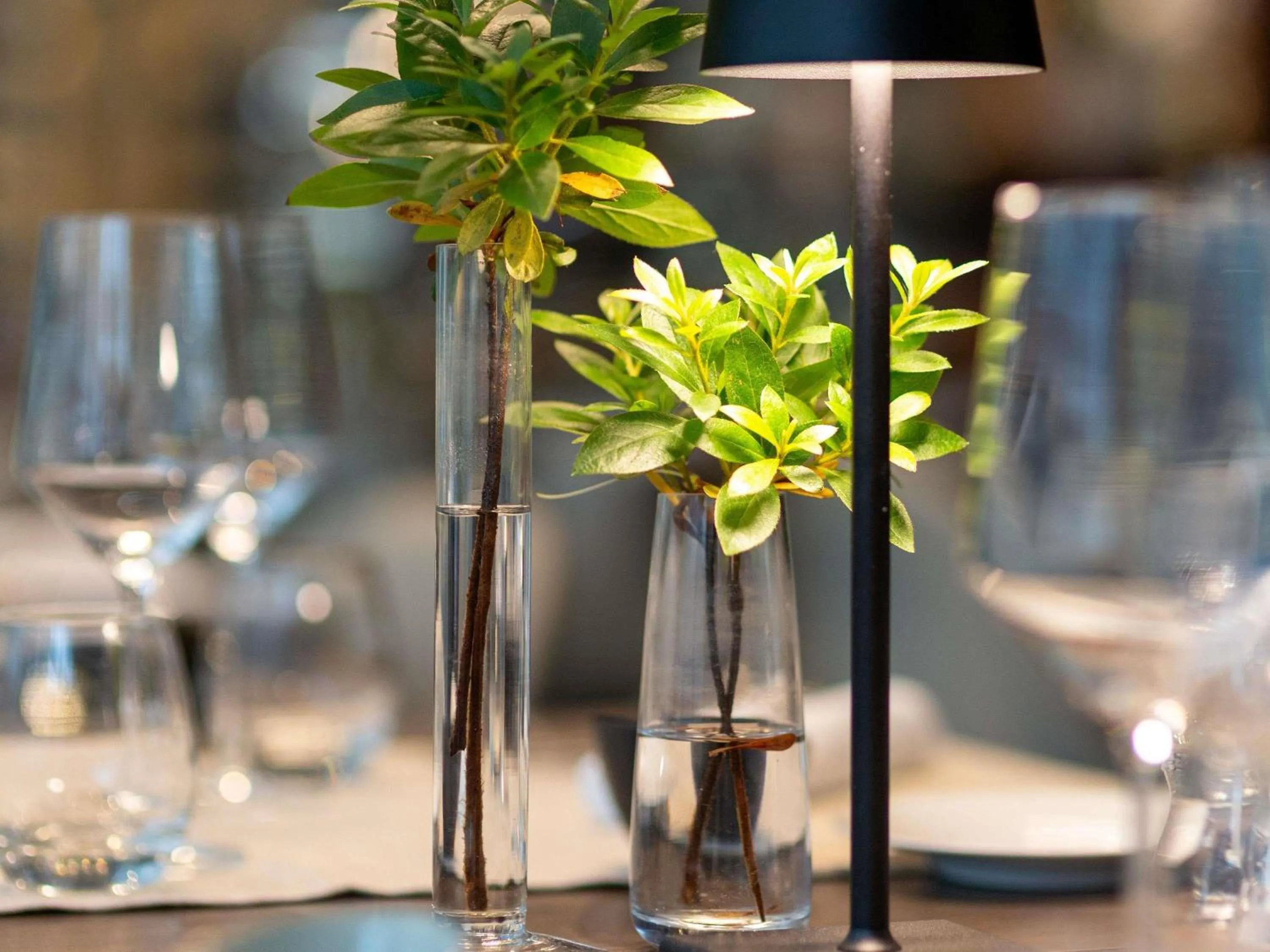 Restaurant/places to eat in Novotel Lugano Paradiso