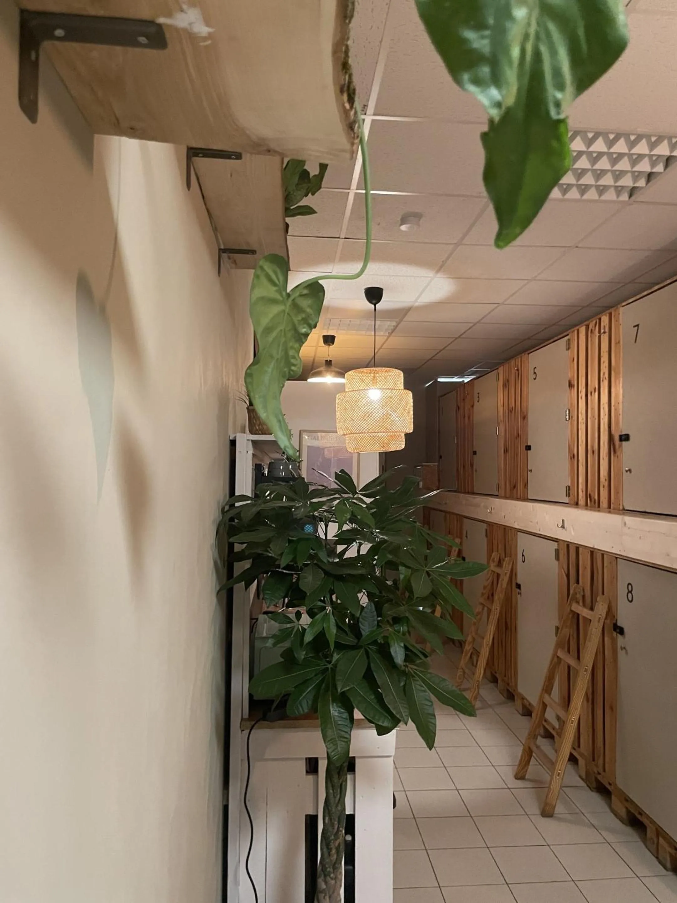 Other in Urban Capsule