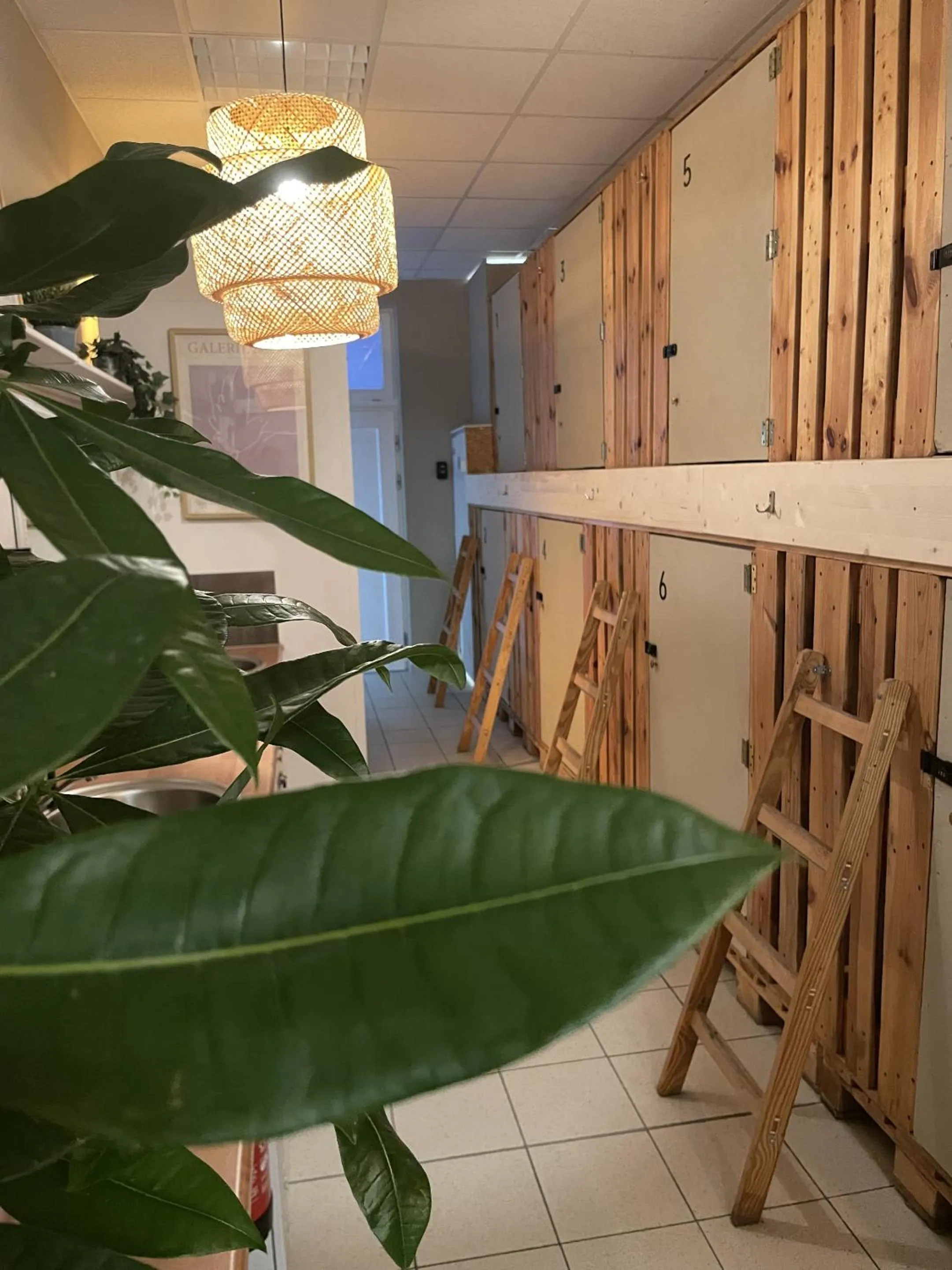 Other in Urban Capsule