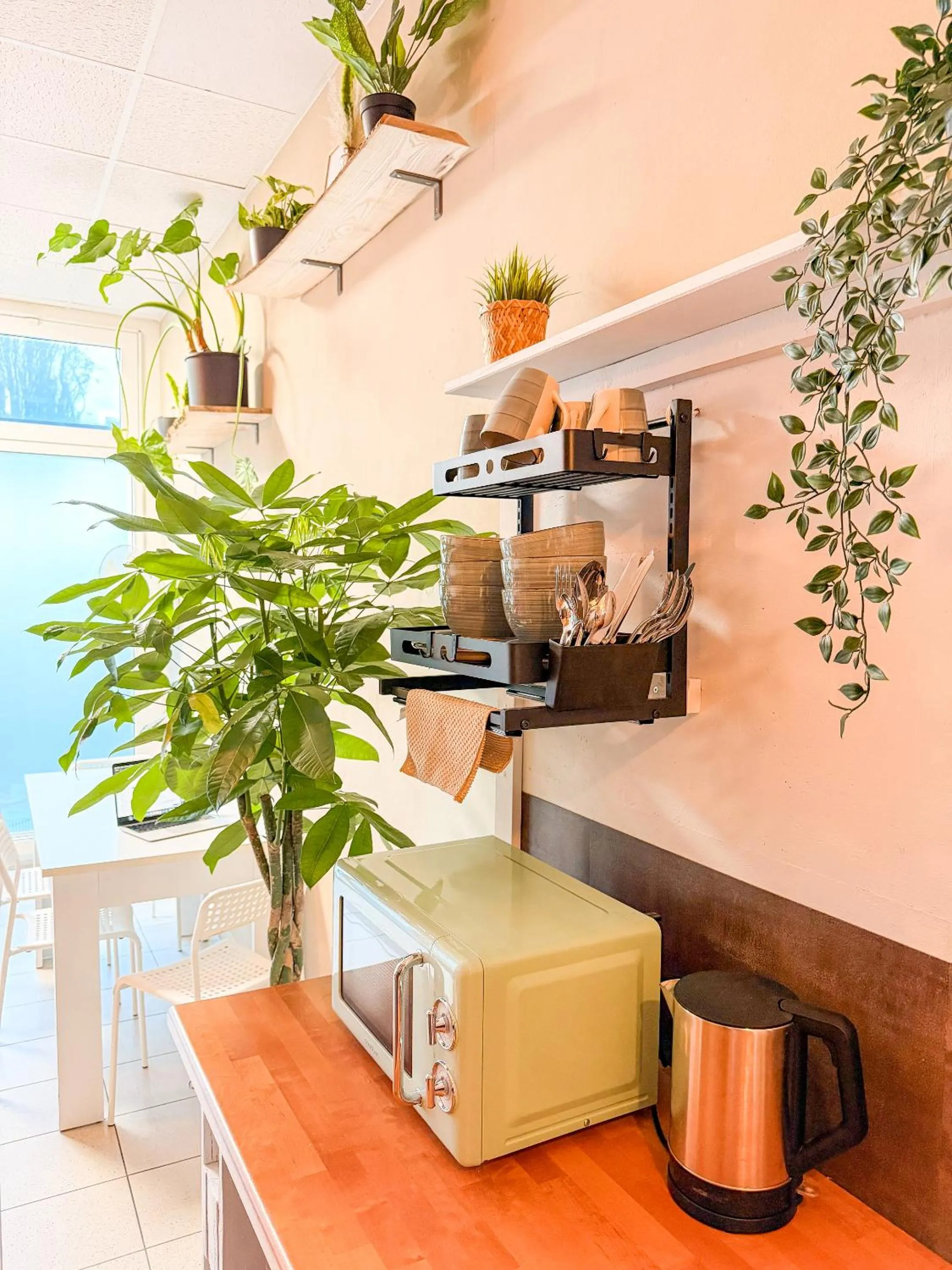 Kitchen or kitchenette in Urban Capsule