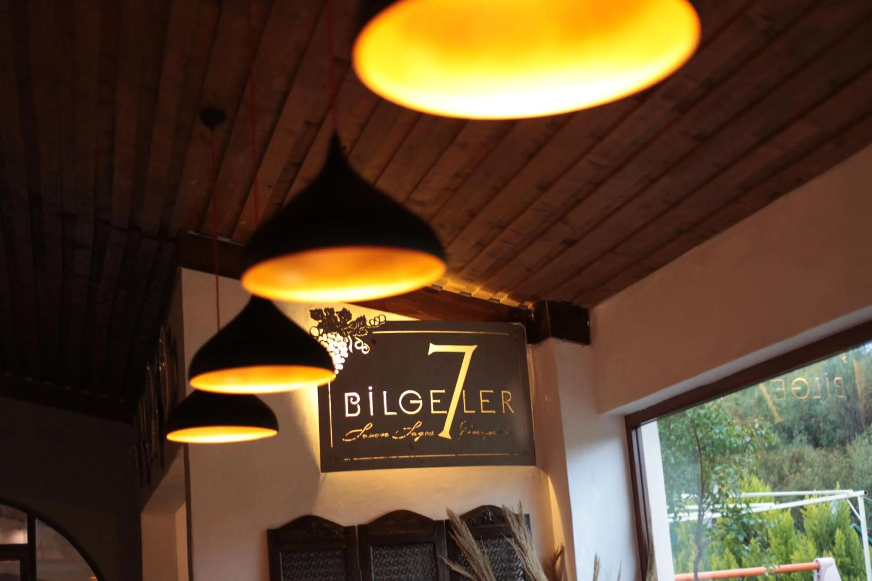 Property logo or sign in VINIFERA VINEYARDS HOTEL