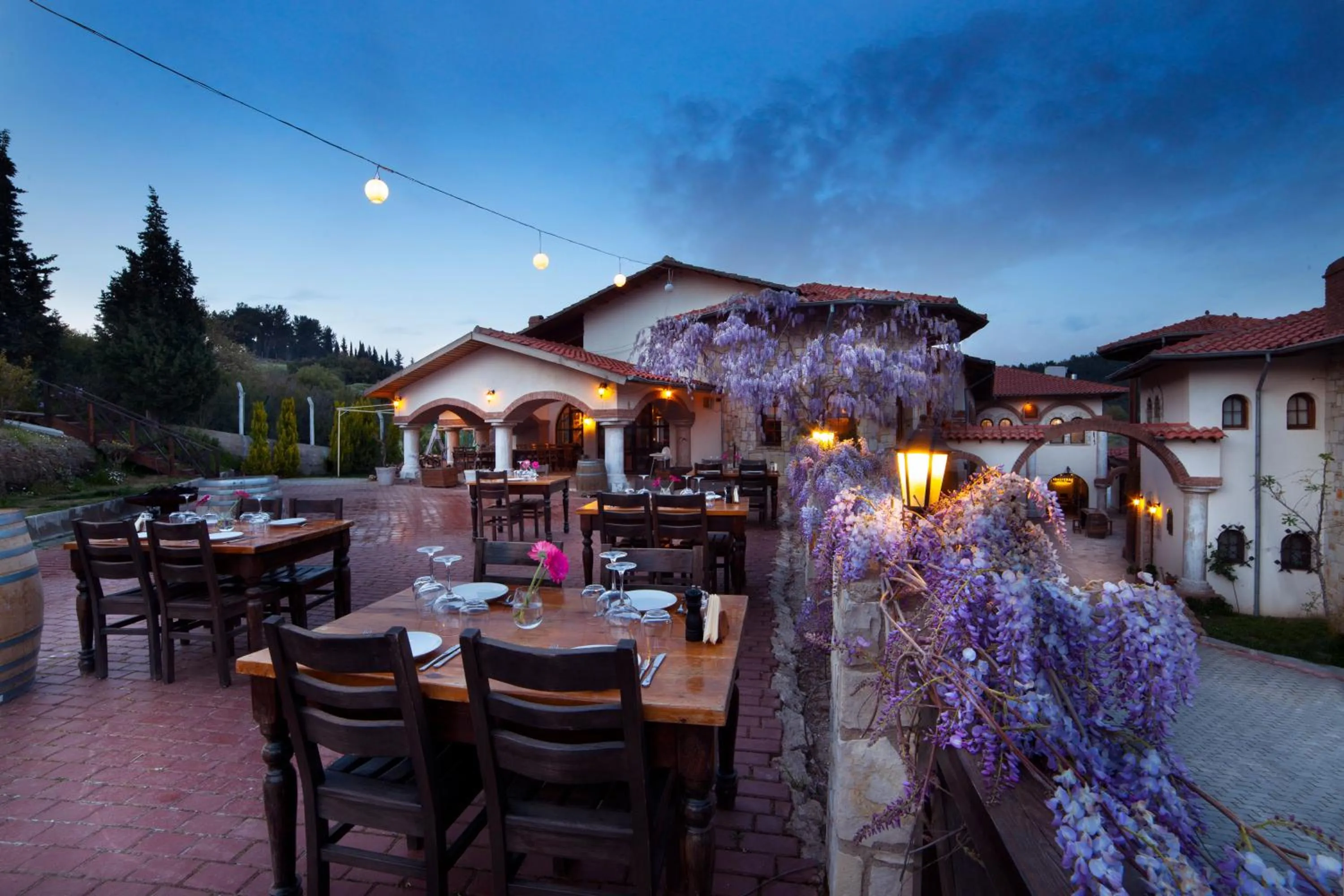 Restaurant/places to eat in VINIFERA VINEYARDS HOTEL