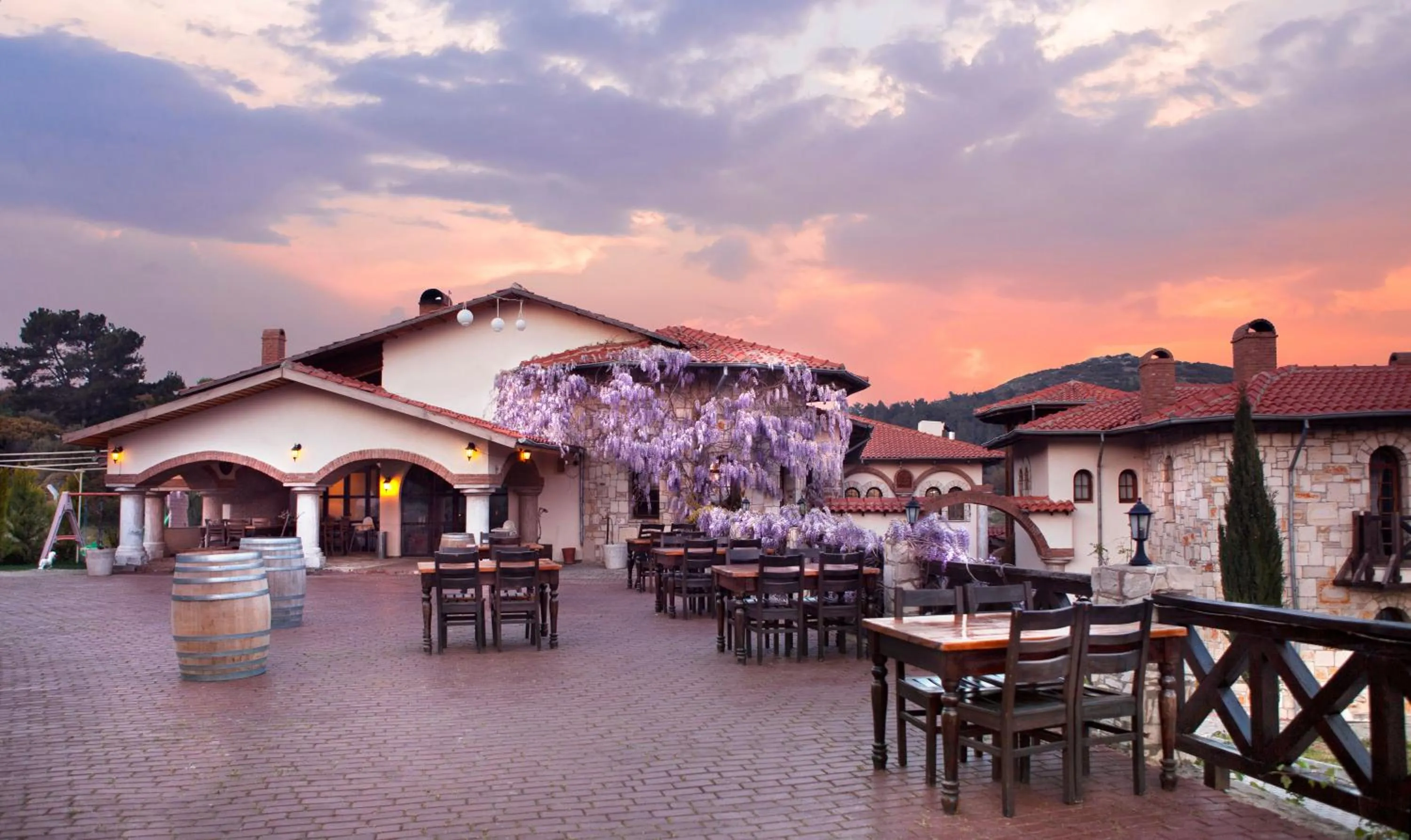 Patio in VINIFERA VINEYARDS HOTEL