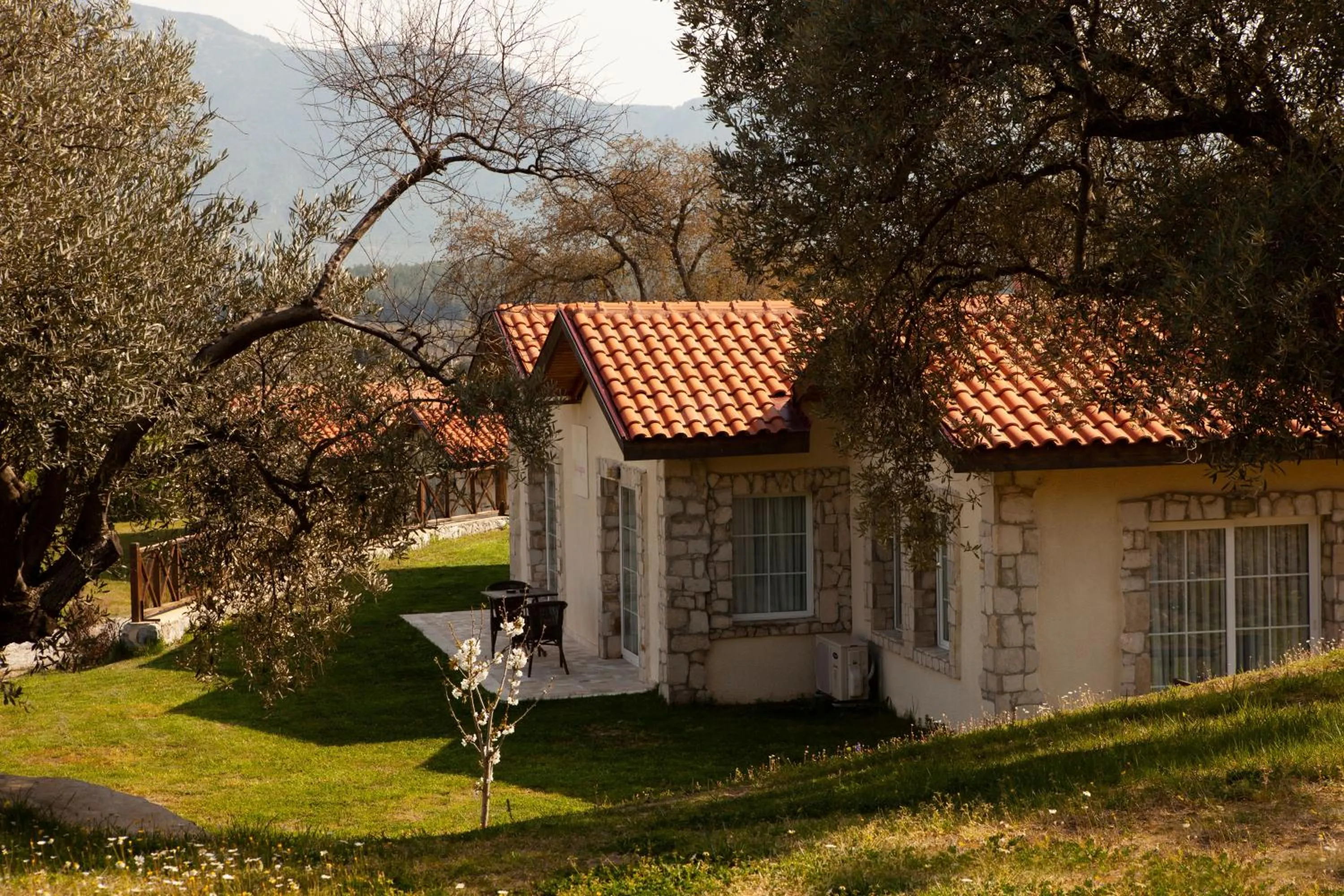 Property building in VINIFERA VINEYARDS HOTEL