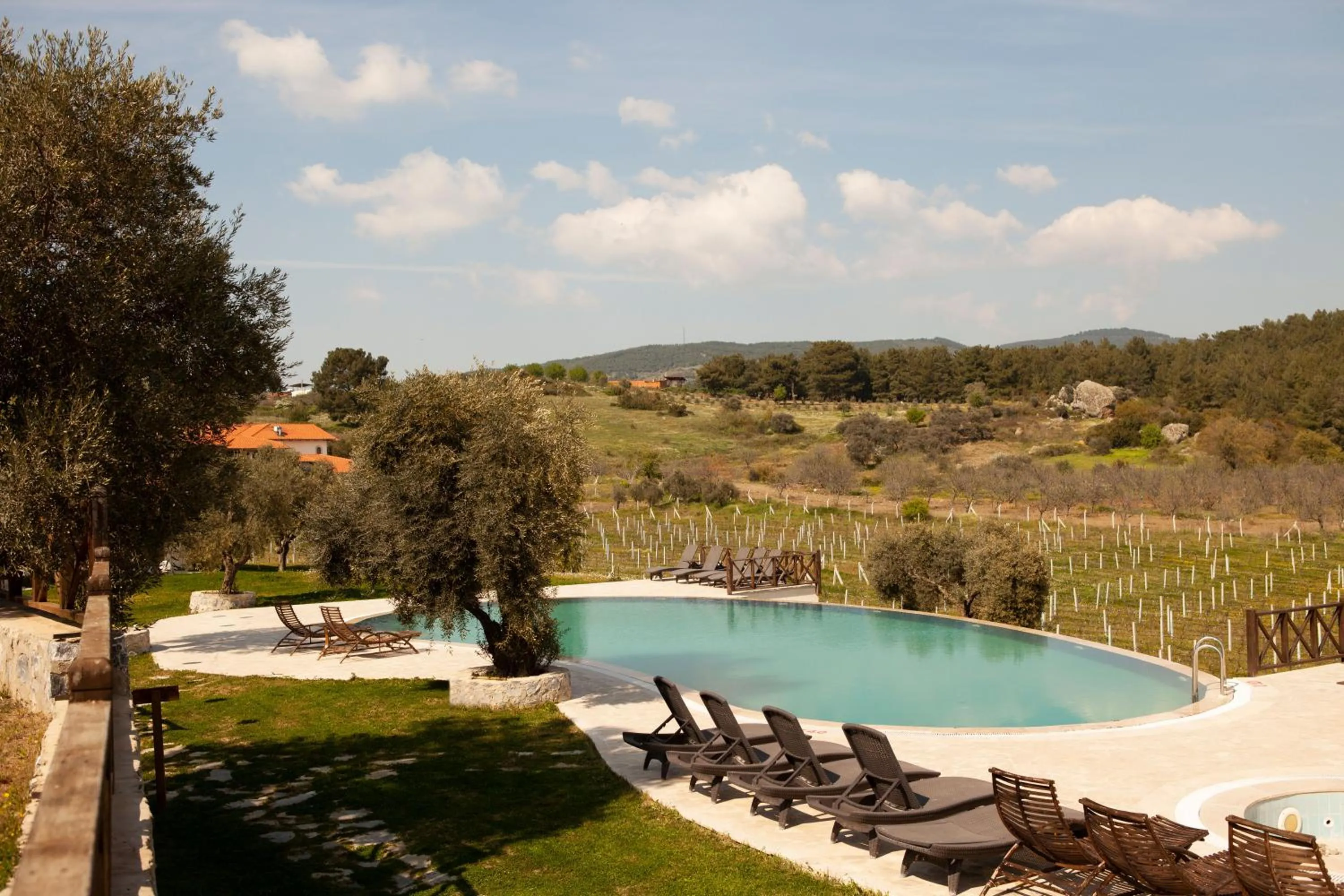 Garden in VINIFERA VINEYARDS HOTEL