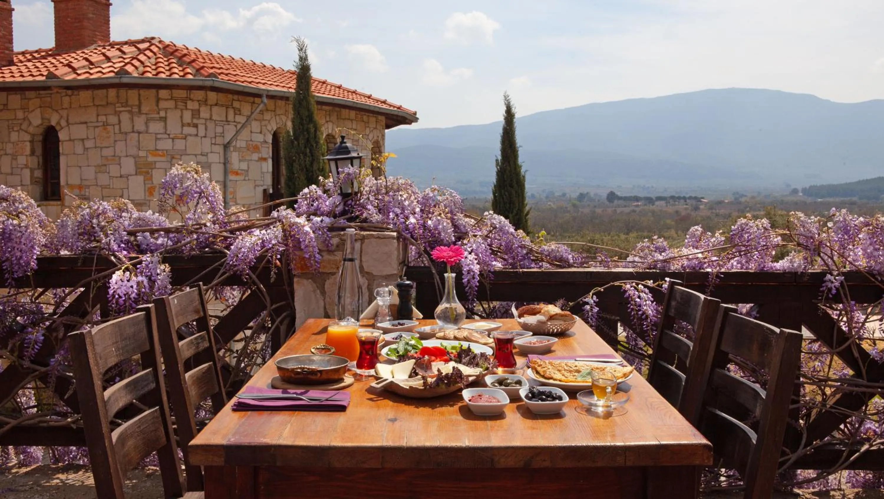 Restaurant/places to eat in VINIFERA VINEYARDS HOTEL