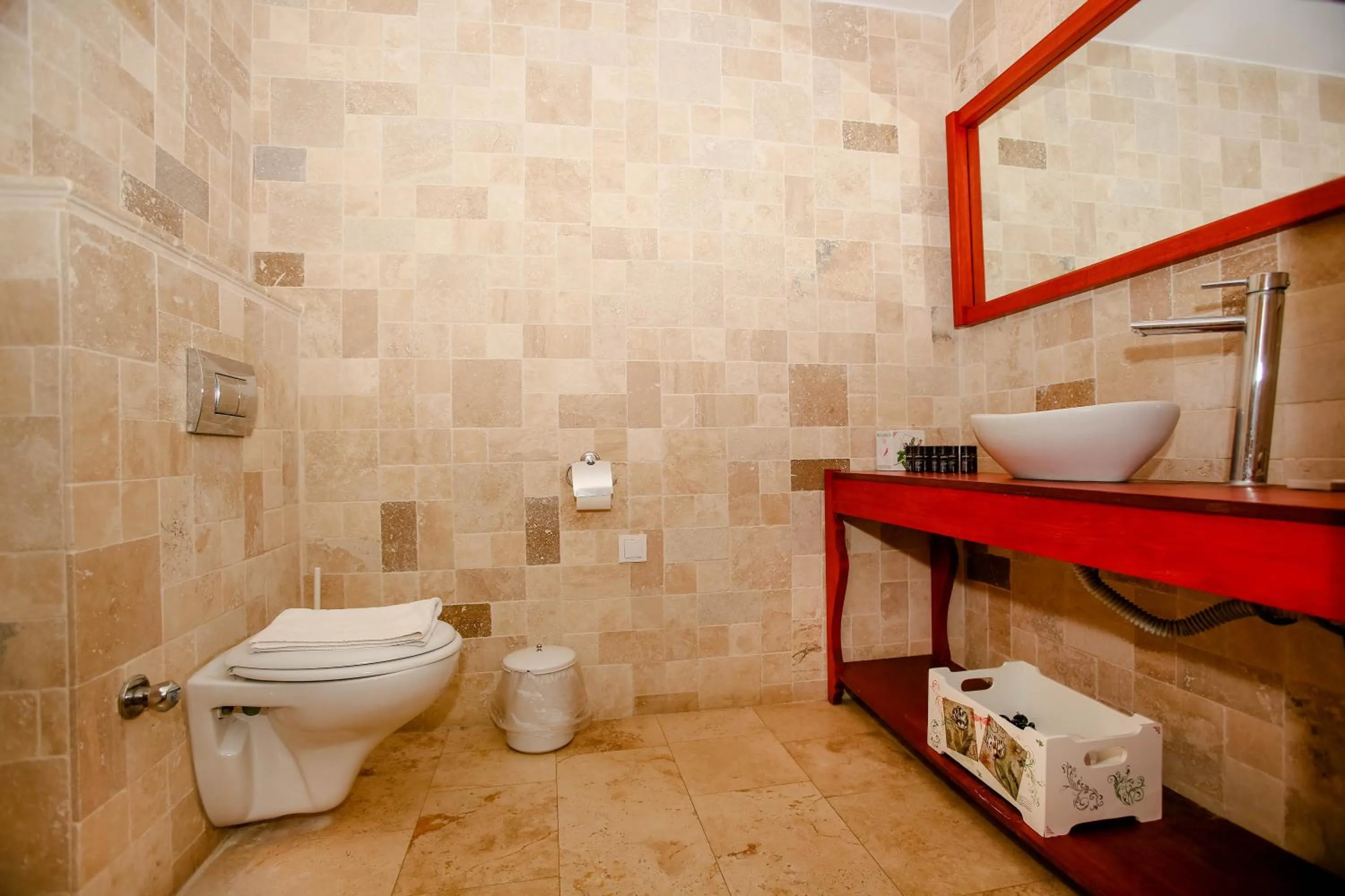 Toilet in VINIFERA VINEYARDS HOTEL