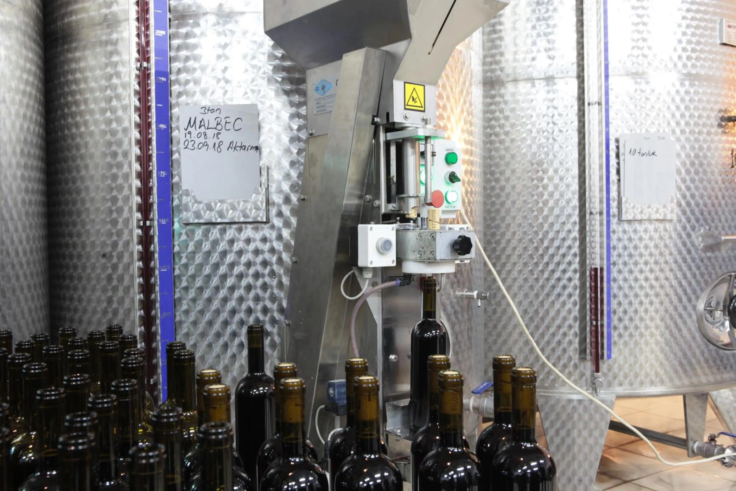 Activities in VINIFERA VINEYARDS HOTEL