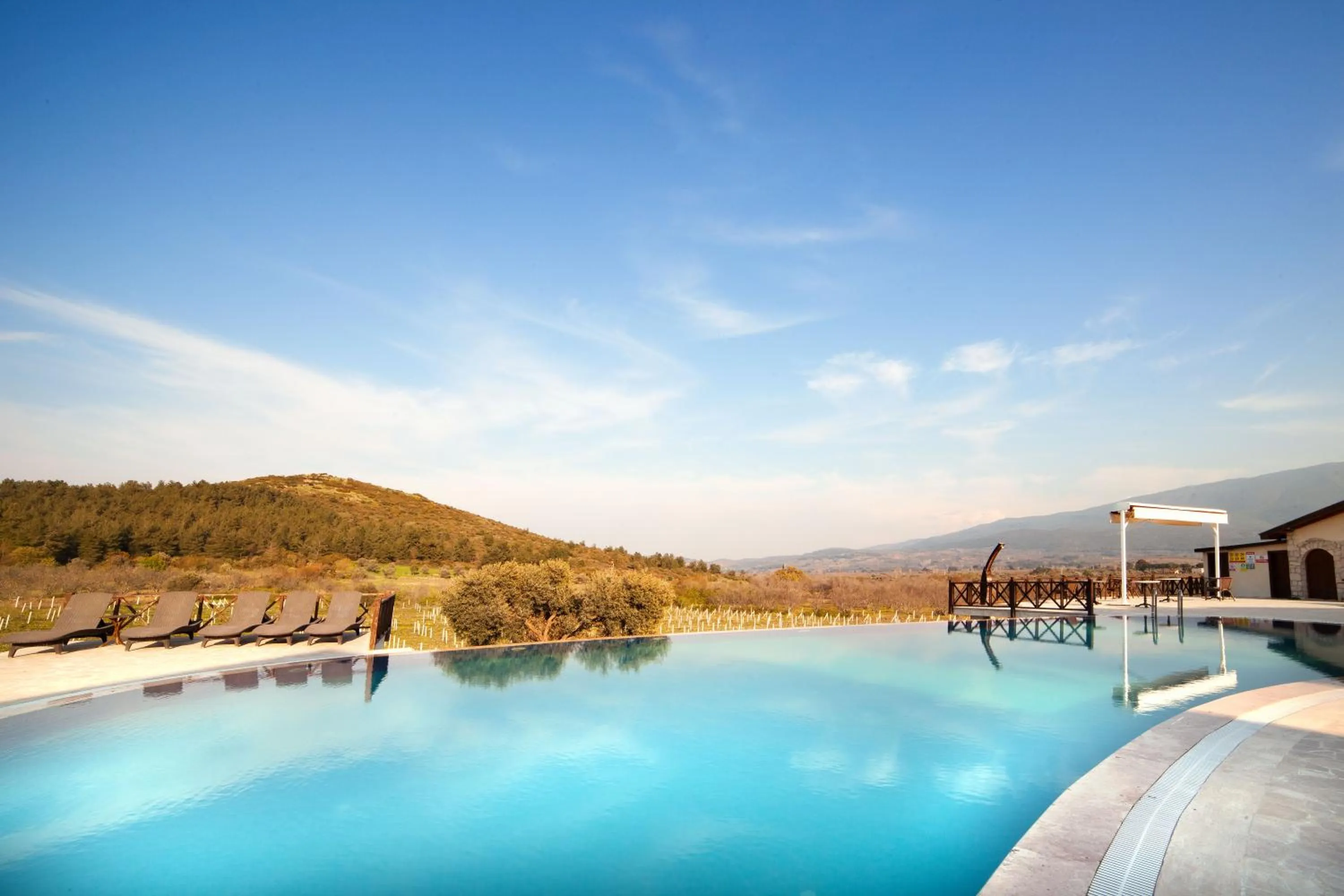 Swimming pool in VINIFERA VINEYARDS HOTEL