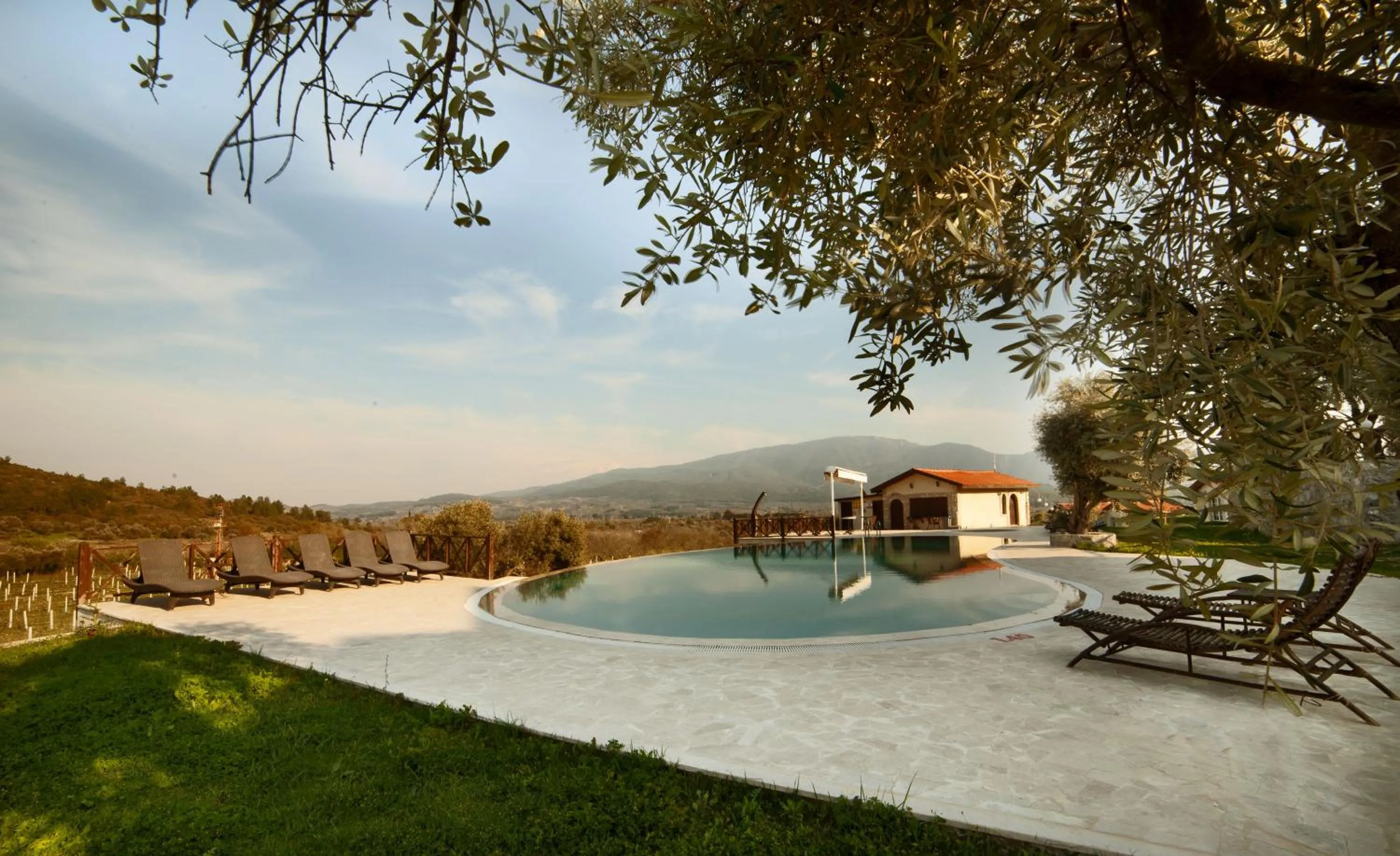 Swimming pool in VINIFERA VINEYARDS HOTEL