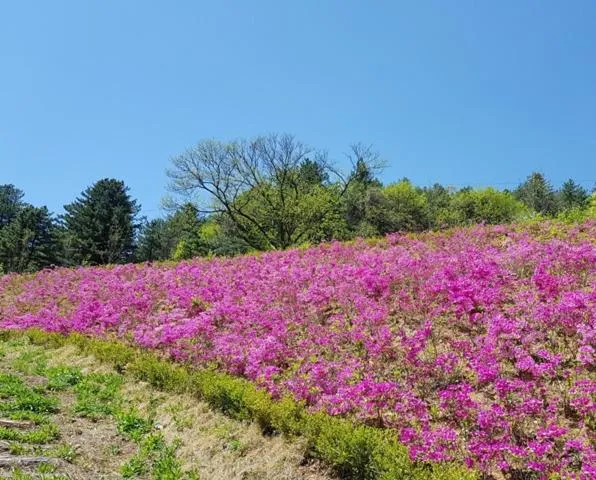 Namyangju Bukhangang dolcecasa hotel