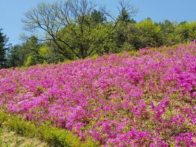 Namyangju Bukhangang dolcecasa hotel