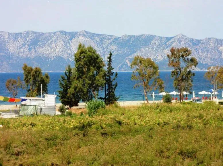 Day in Villa Anastasia