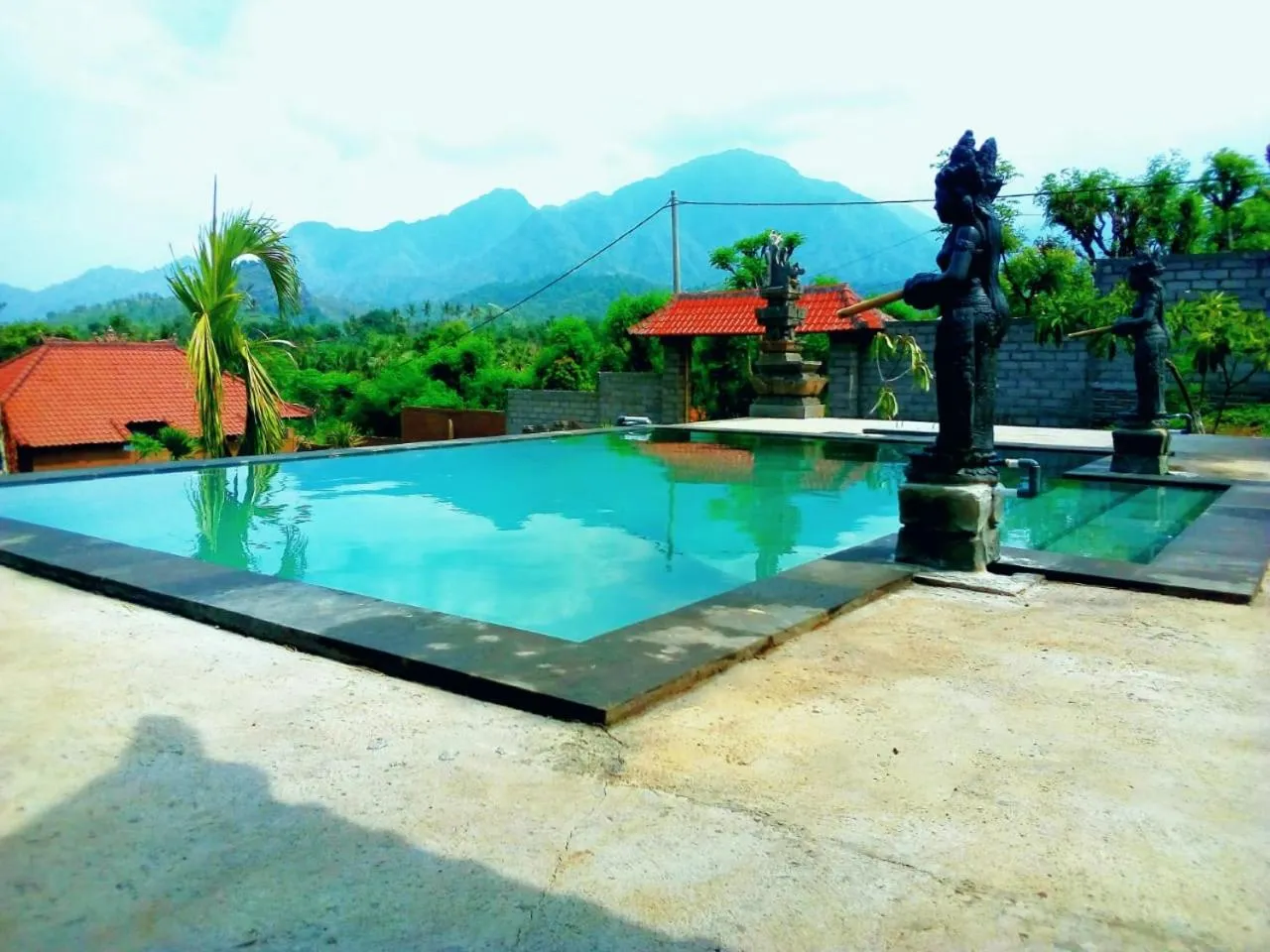 Swimming pool in Eliska Sari Bungalows Sumberkima