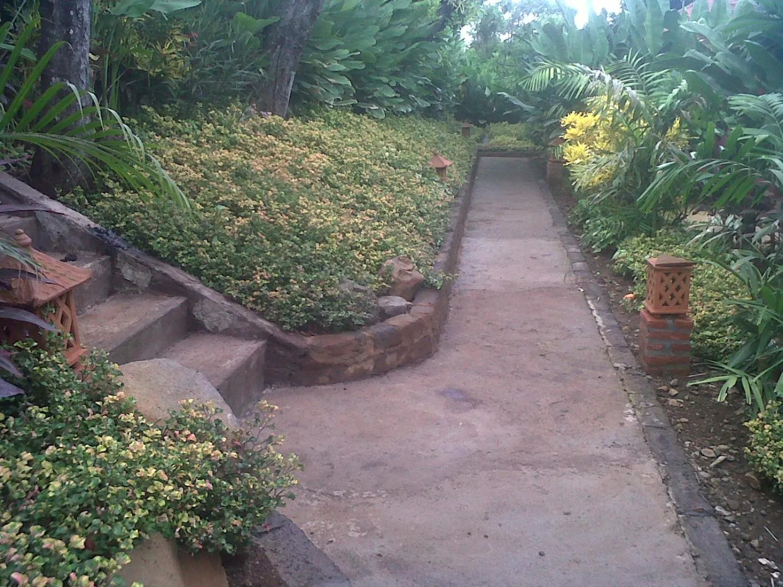 Garden in Eliska Sari Bungalows Sumberkima