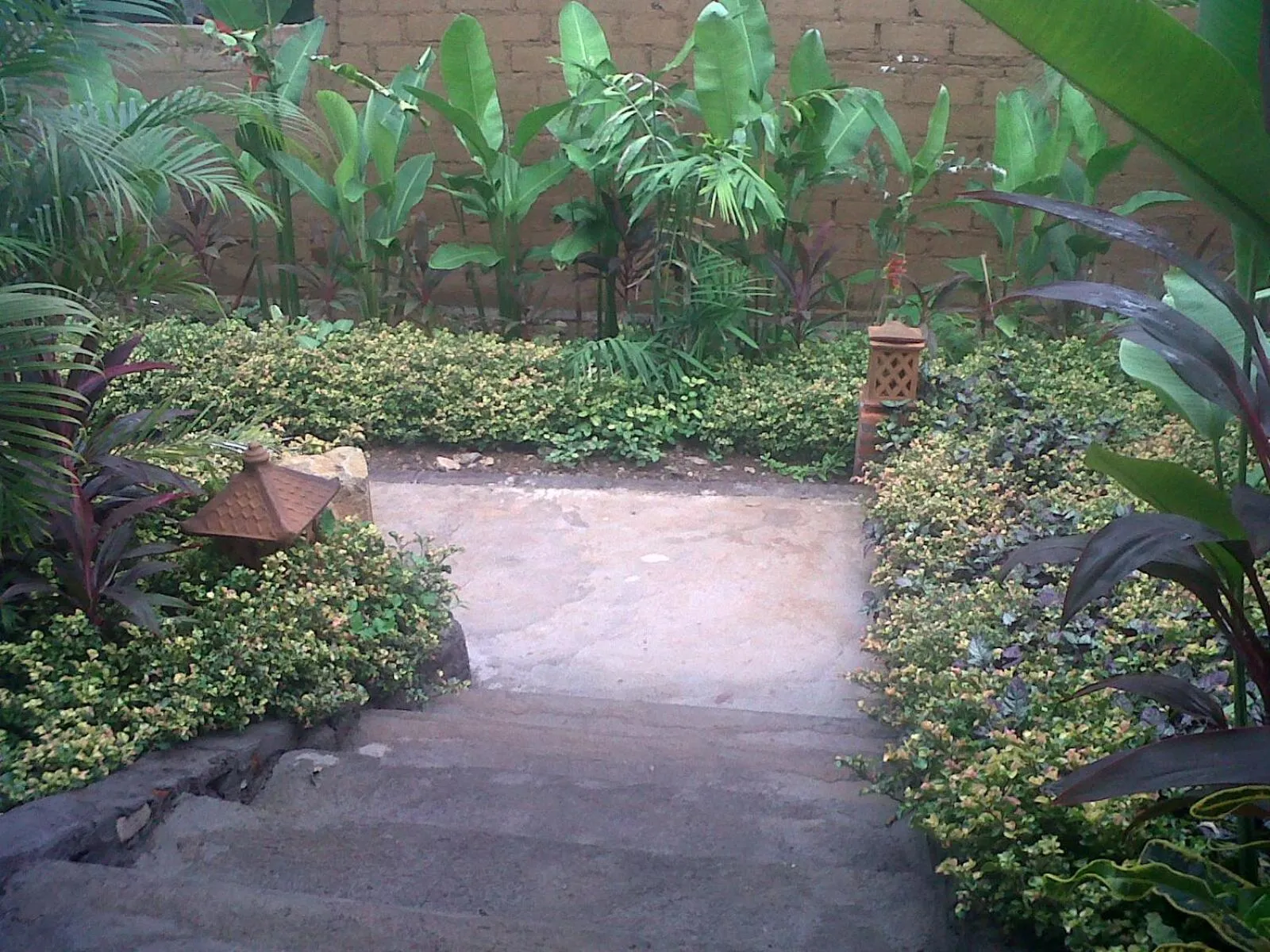 Garden view in Eliska Sari Bungalows Sumberkima