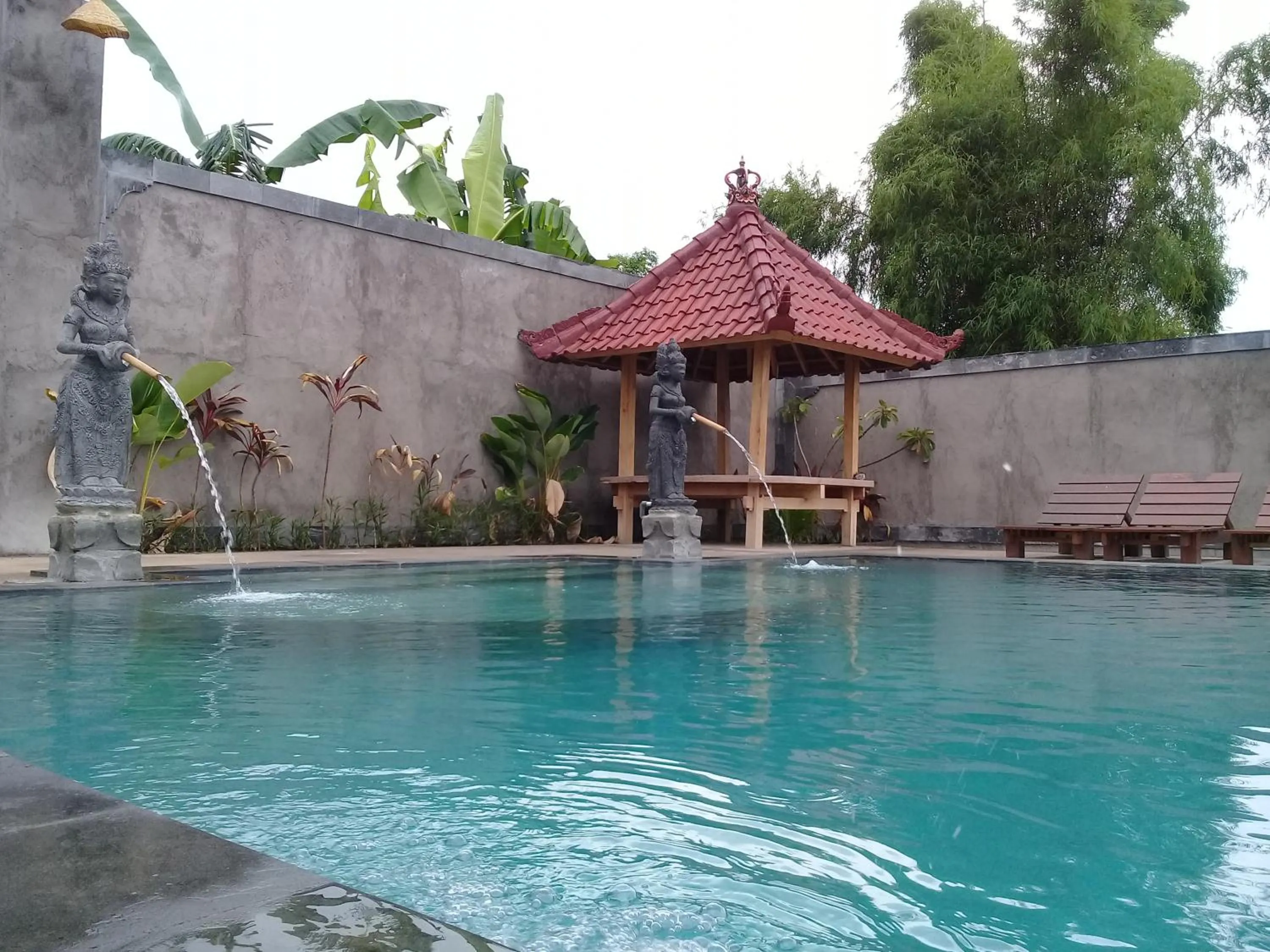 Swimming pool in Eliska Sari Bungalows Sumberkima