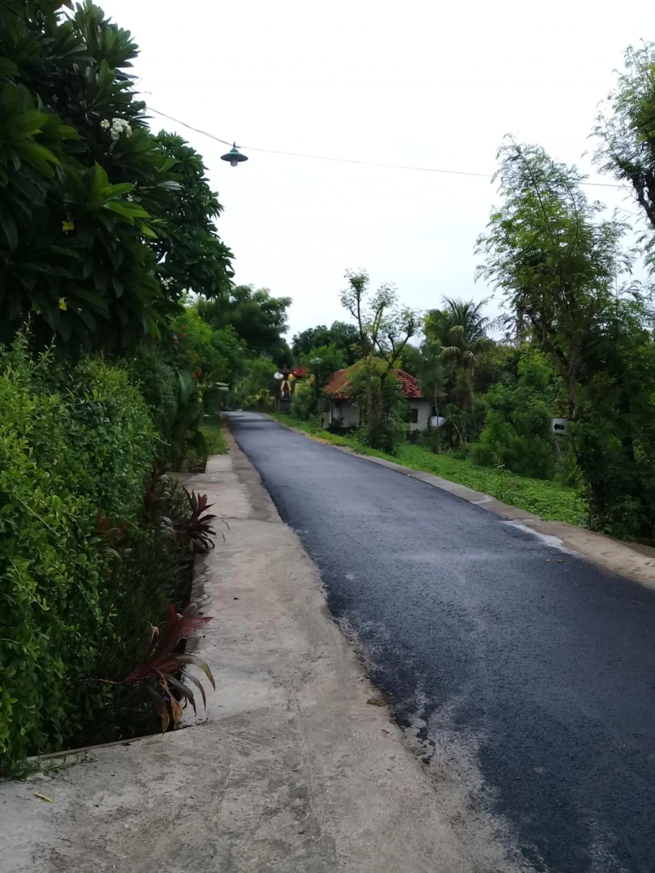 Area and facilities in Eliska Sari Bungalows Sumberkima