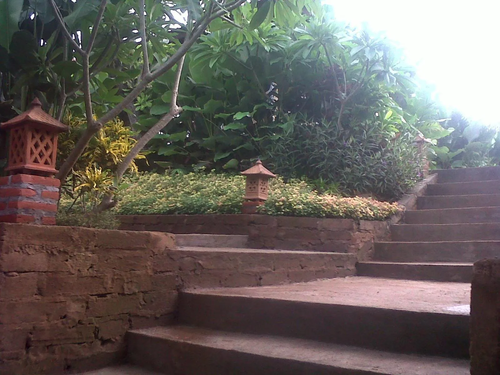 Garden in Eliska Sari Bungalows Sumberkima