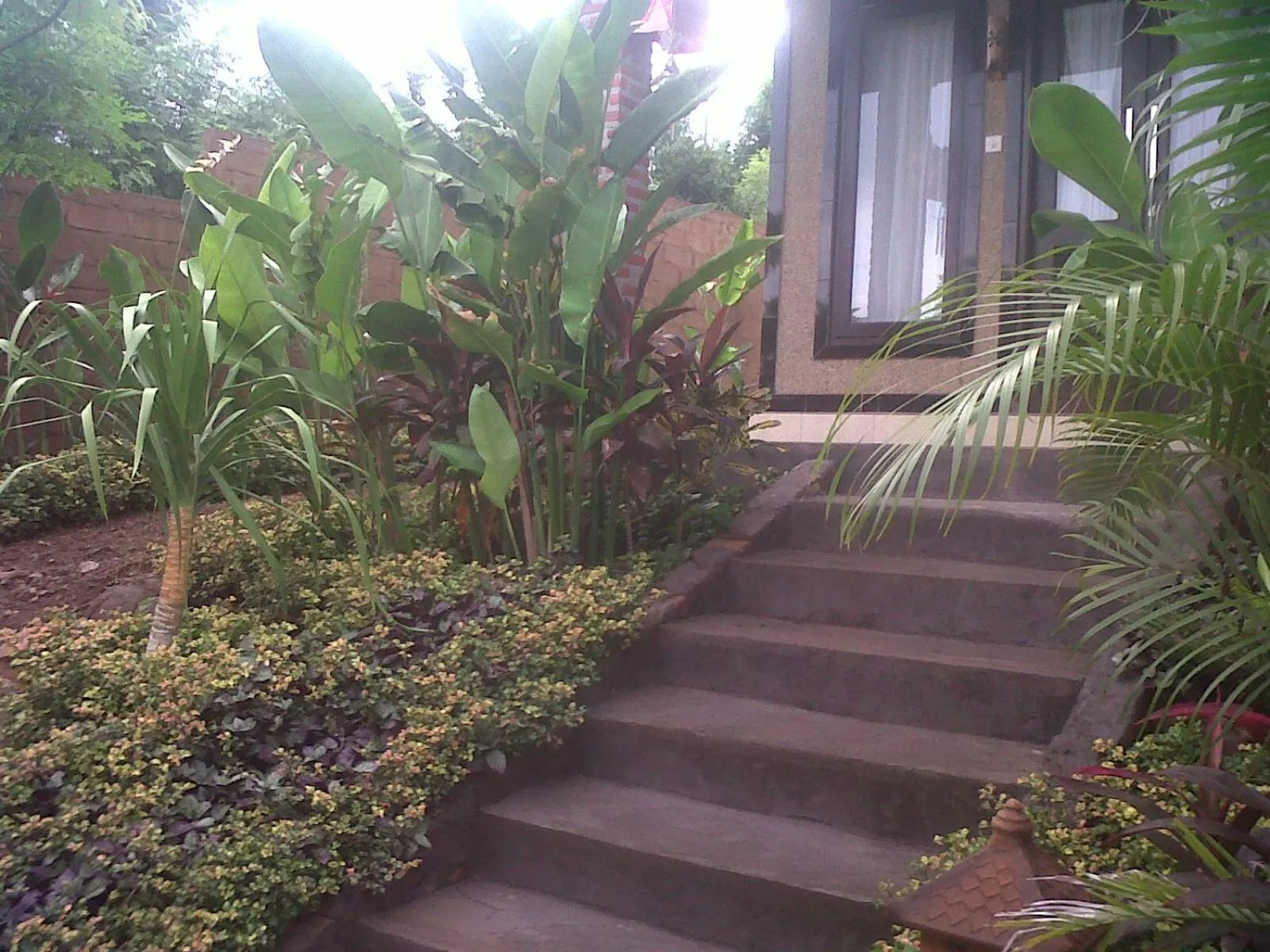 Garden in Eliska Sari Bungalows Sumberkima