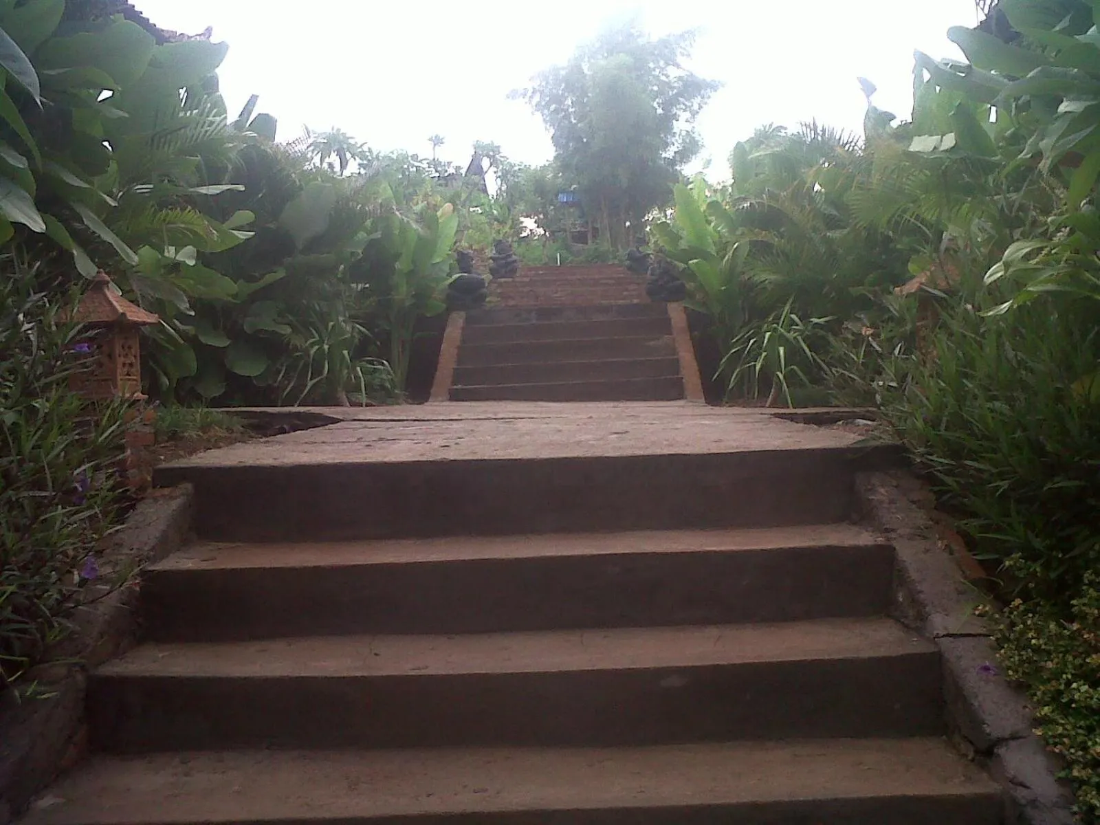 Garden in Eliska Sari Bungalows Sumberkima