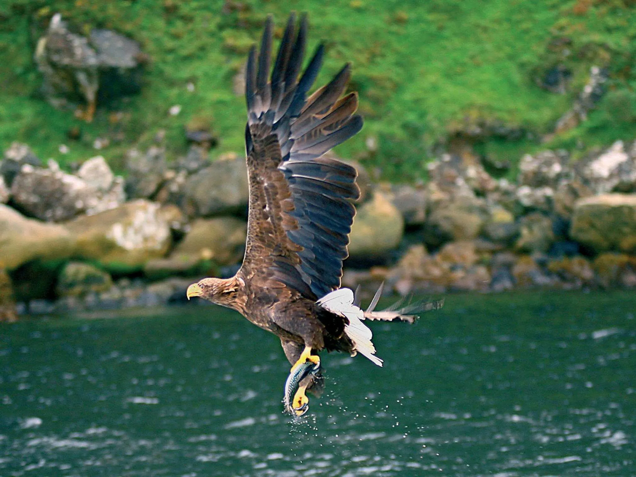 Area and facilities in Killarney Towers Hotel & Leisure Centre