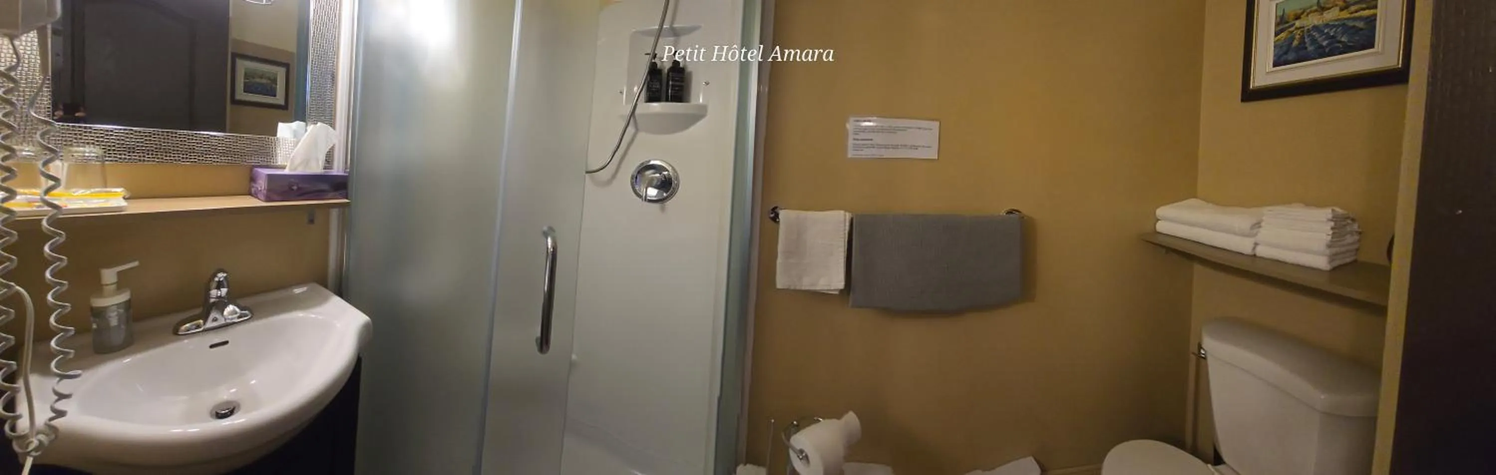 Shower in Petit Hôtel Amara