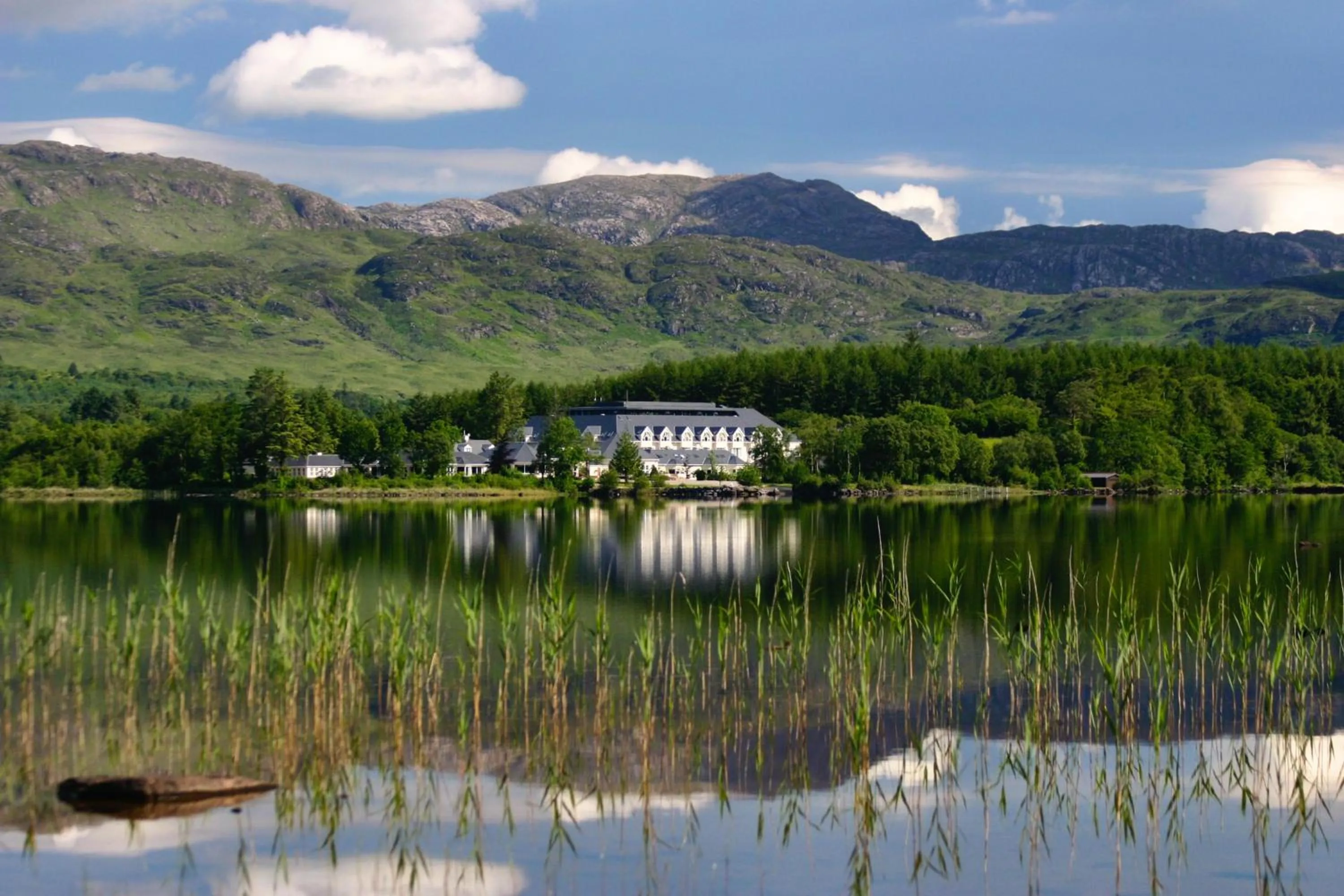 Bird's eye view in Harvey's Point