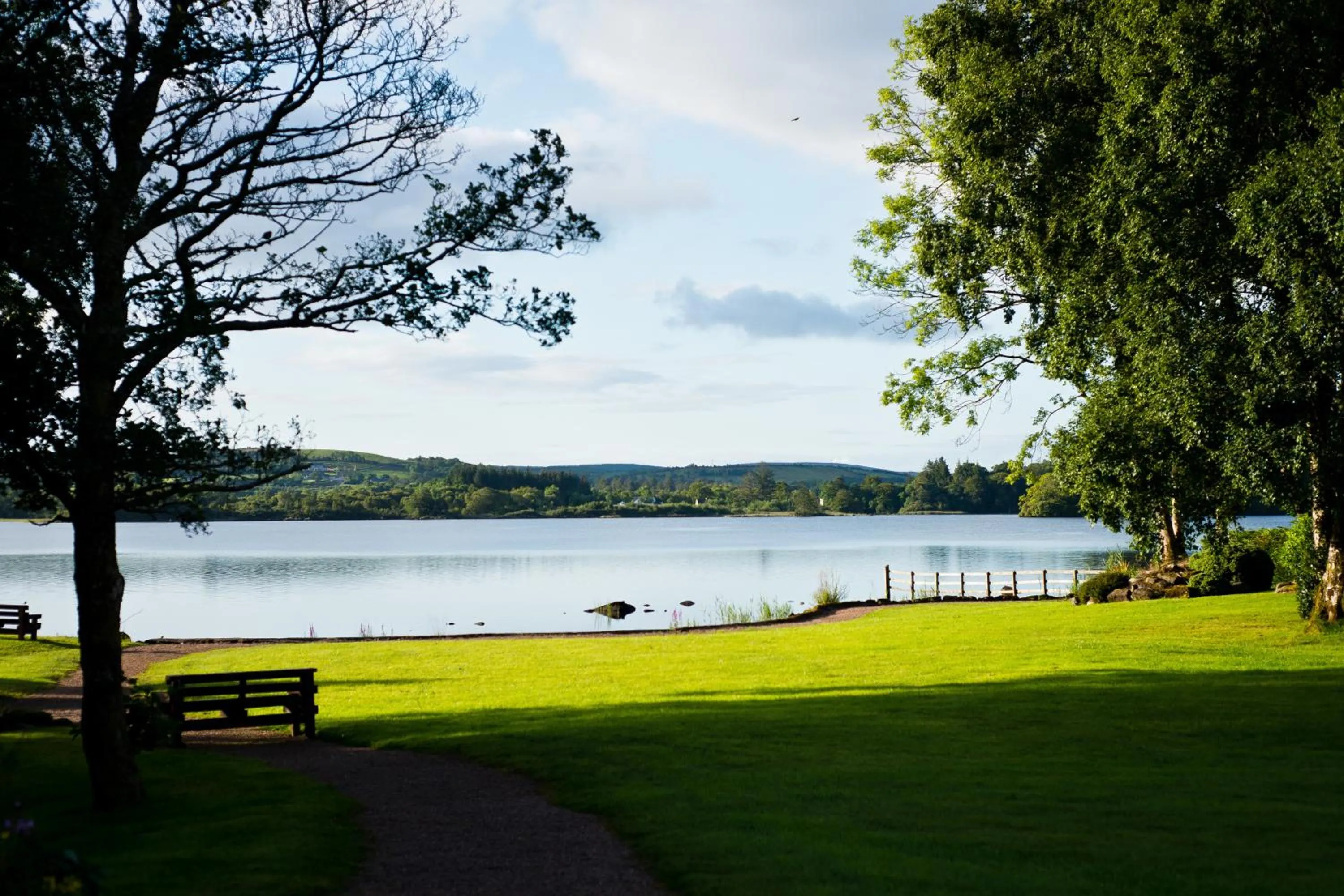 Other in Harvey's Point