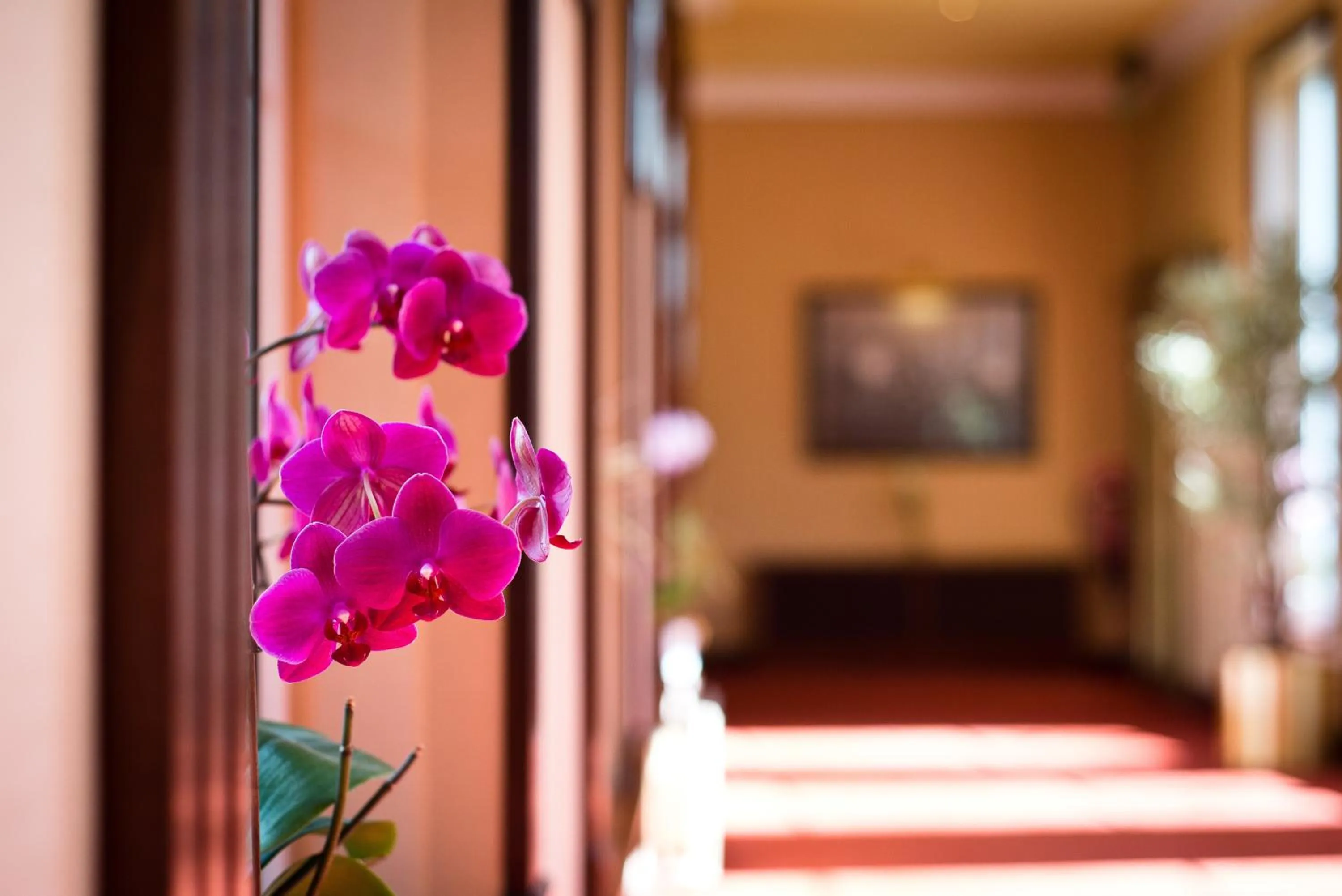 Decorative detail, Bed in Harvey's Point