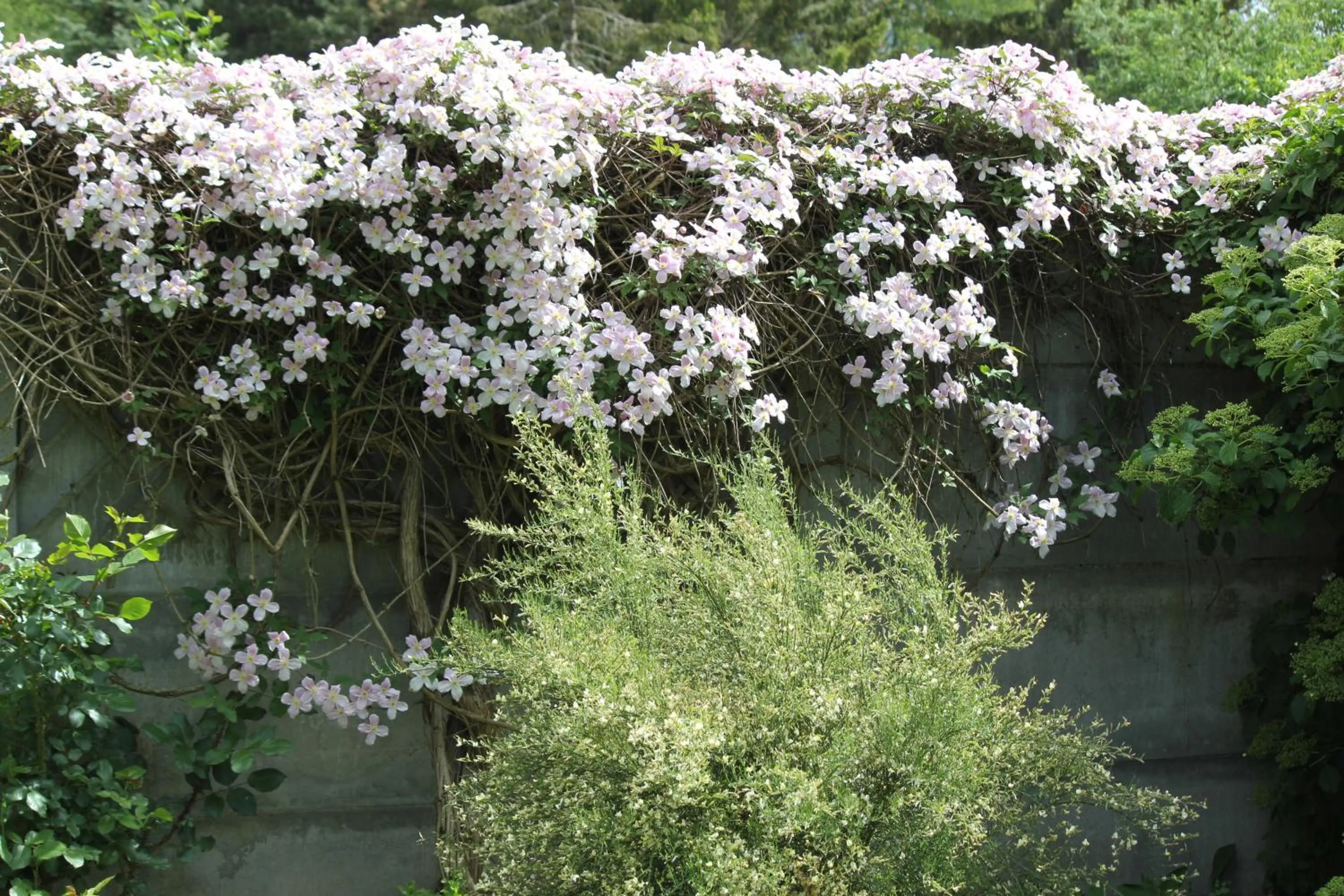 Garden view in Le Chemin du Village