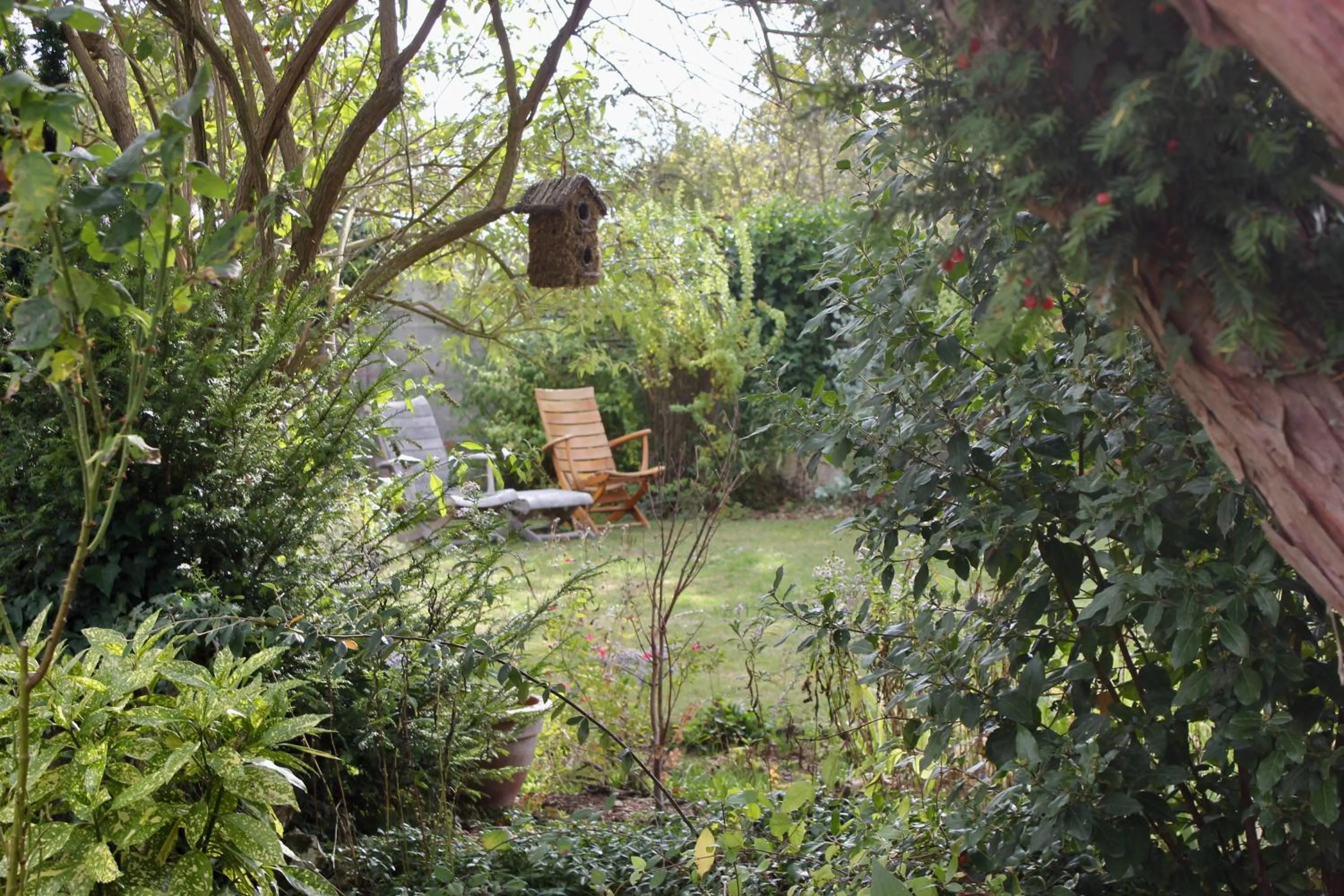 Garden in Le Chemin du Village