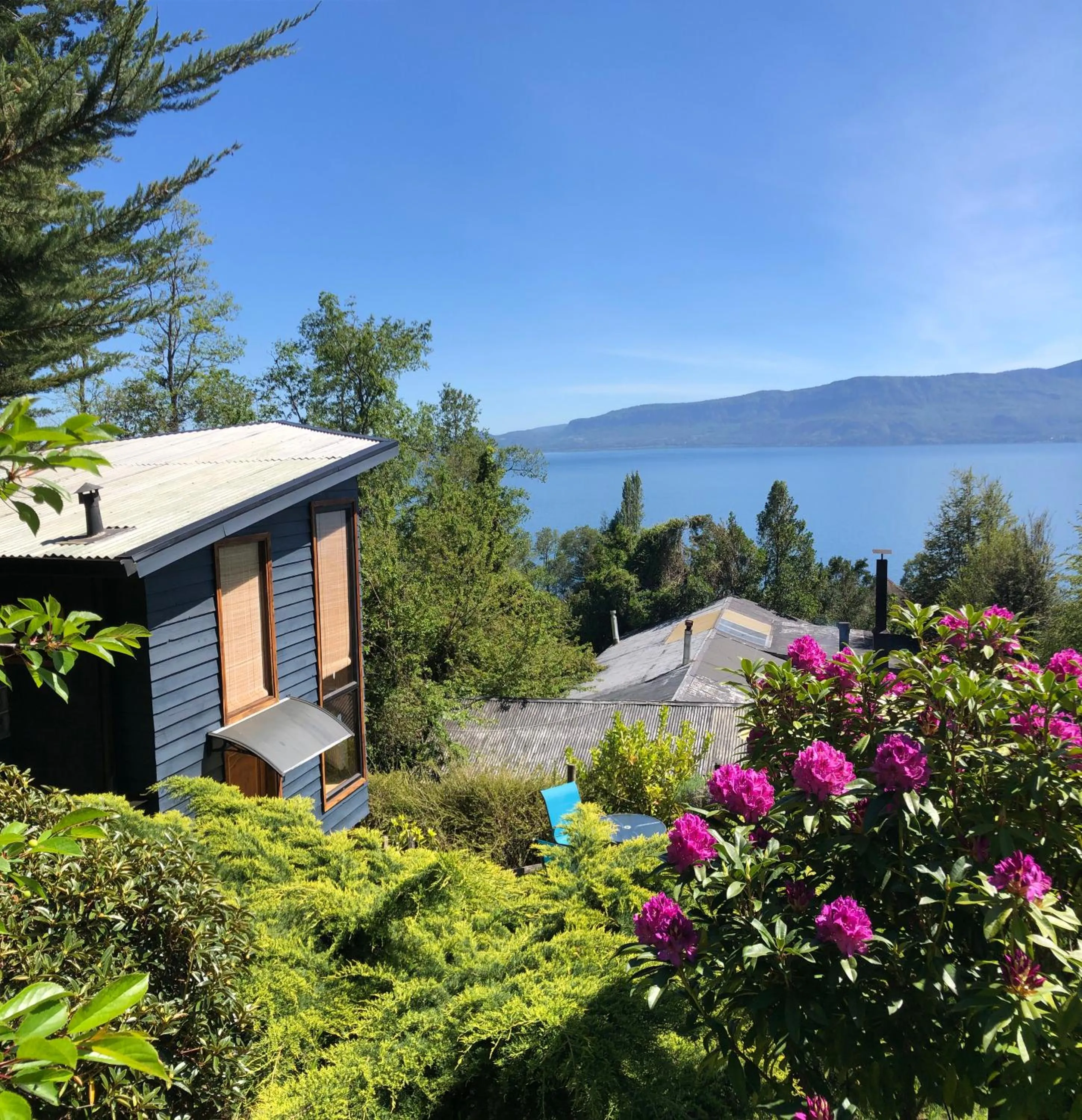 Cabañas Monte Verde